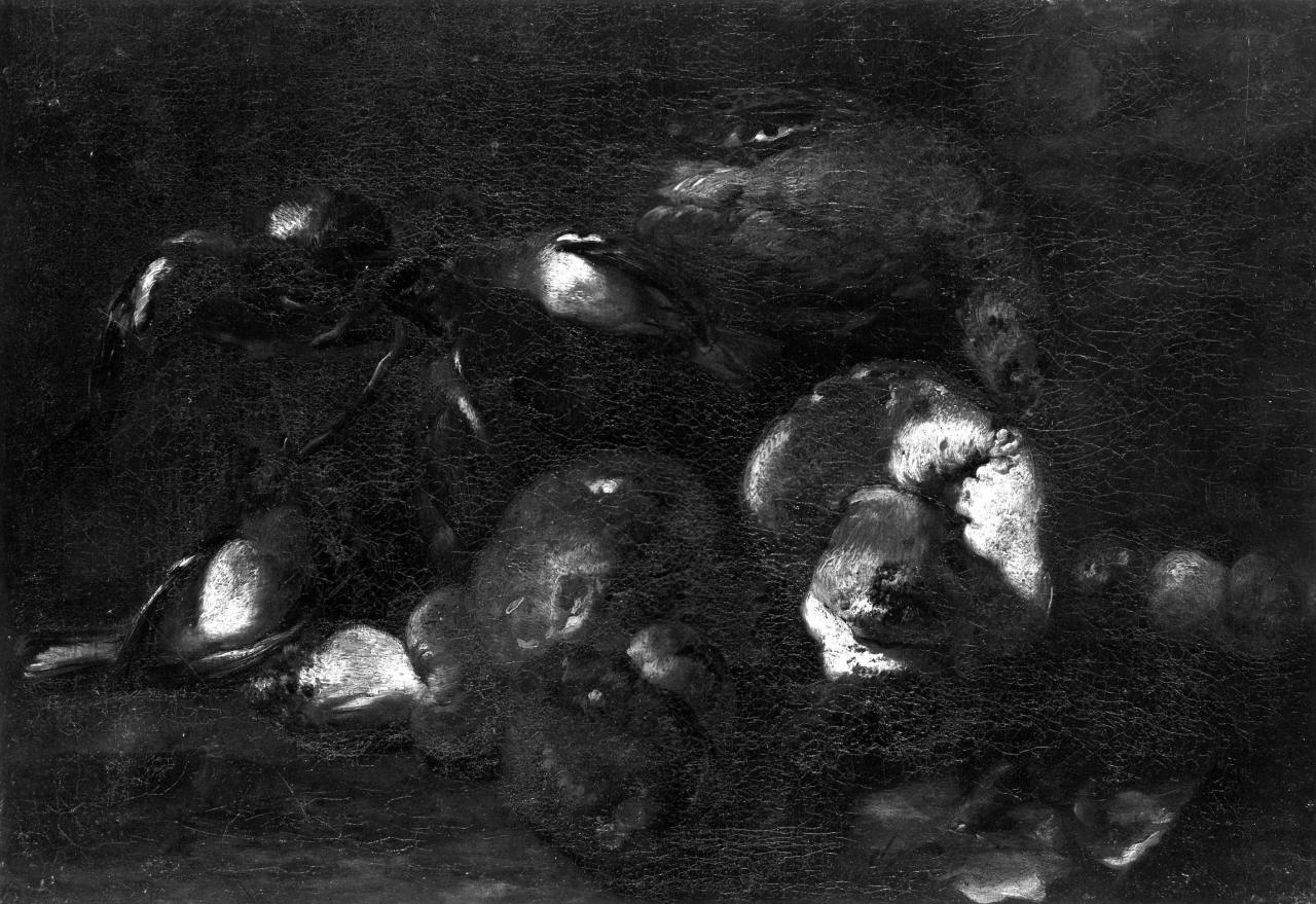 natura morta (dipinto) di Nigaise Beernaerts detto Monsù Nicasio (attribuito) (sec. XVII)