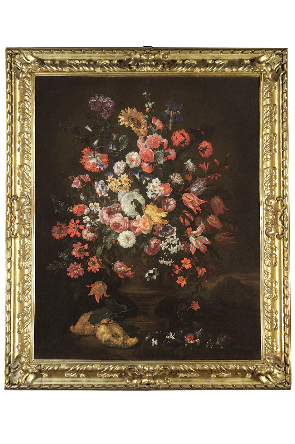 vaso con fiori e frutta (dipinto) di Bimbi Bartolomeo (sec. XVII)