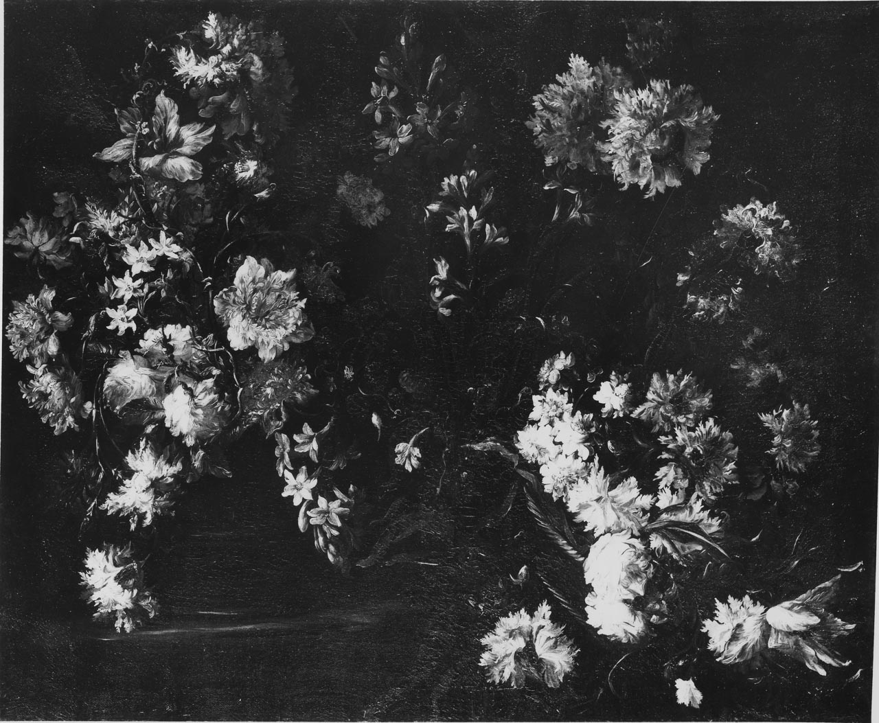 fiori (dipinto) di Caffi Margherita (seconda metà sec. XVII)
