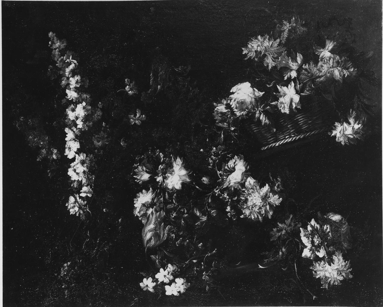 tralci di fiori (dipinto) di Caffi Margherita (seconda metà sec. XVII)
