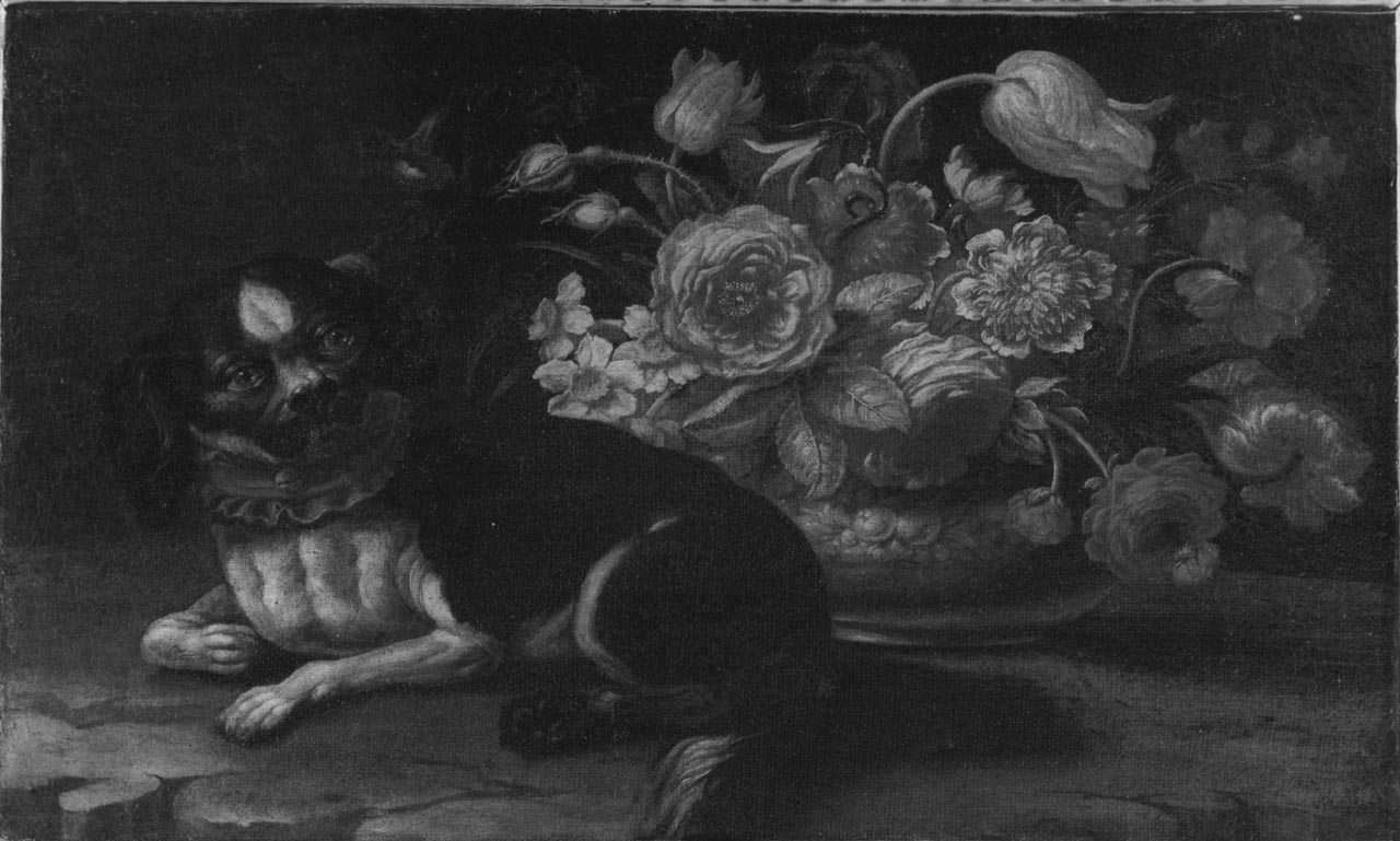 vaso con fiori e cane (dipinto) di Scacciati Andrea (sec. XVIII)