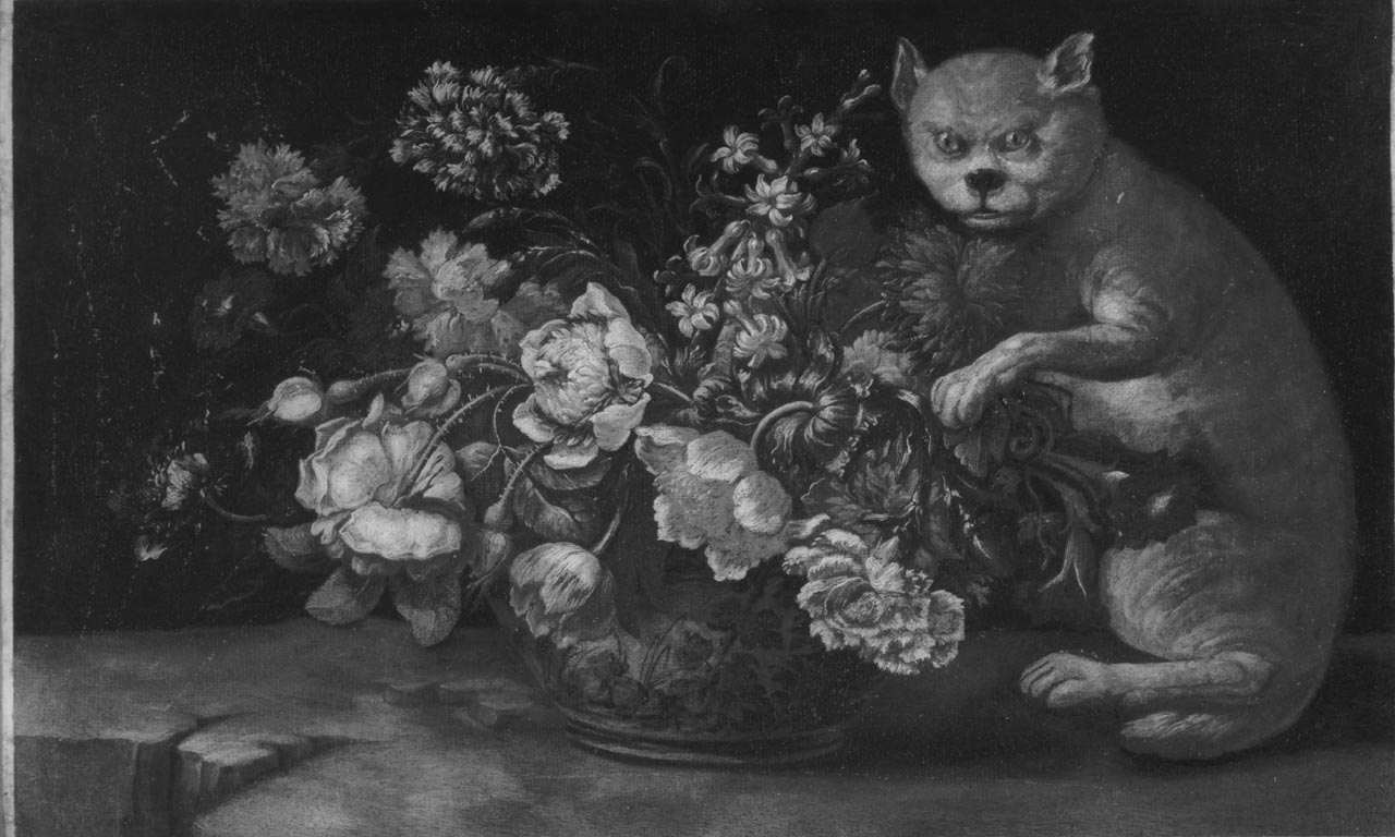 vaso con fiori e gatto (dipinto) di Scacciati Andrea (sec. XVIII)