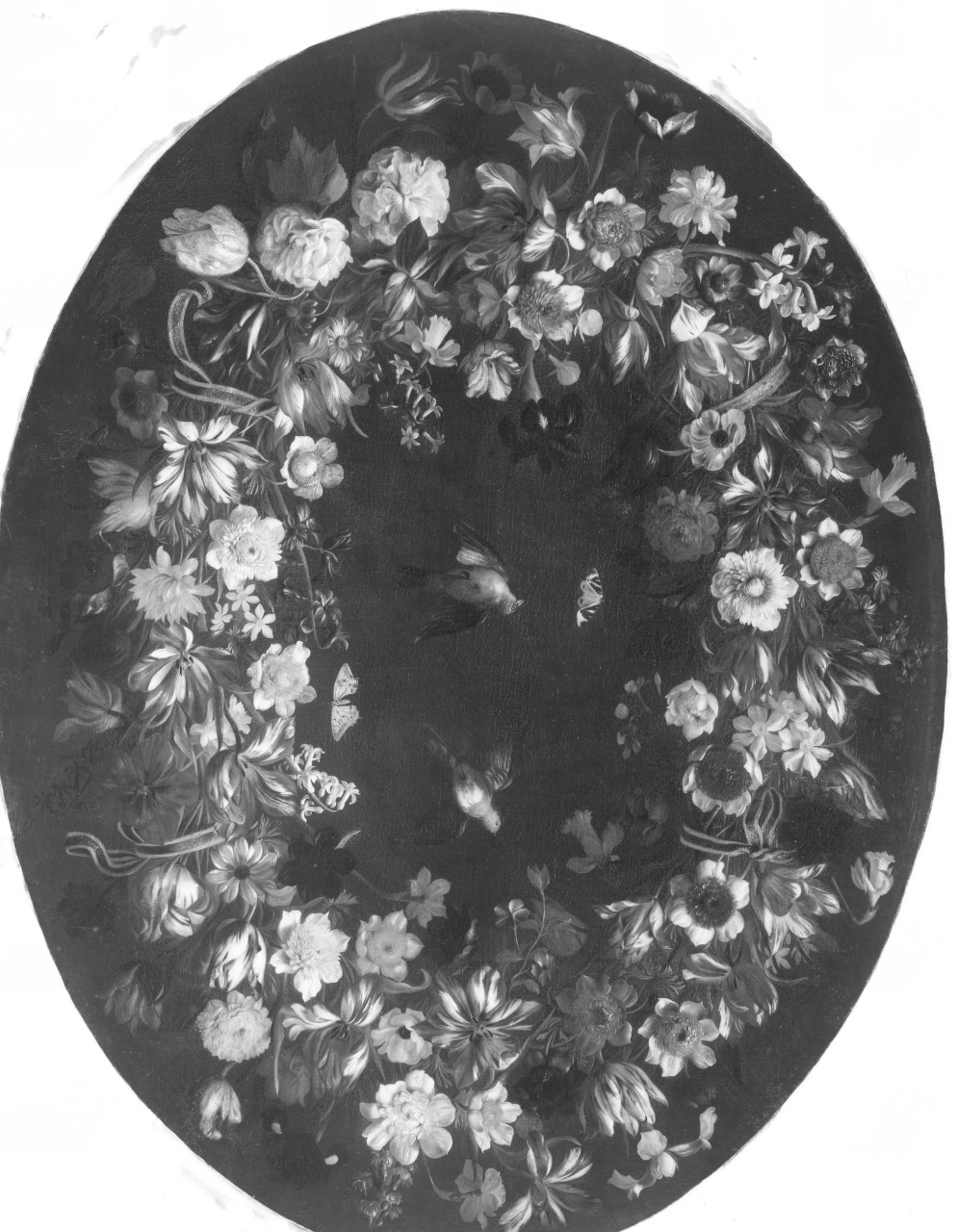ghirlanda di fiori con uccellini e farfalle (dipinto) di Stanchi Giovanni (sec. XVII)
