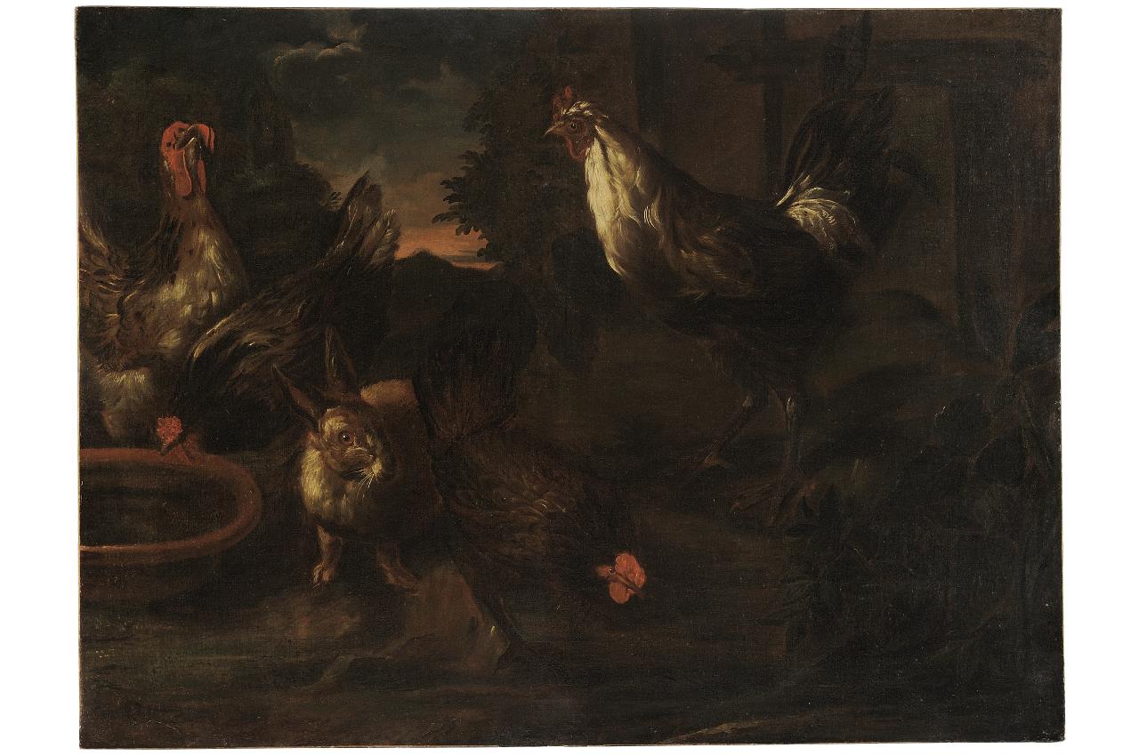 animali da cortile (dipinto) di Cassana Giovanni Agostino (seconda metà sec. XVII)