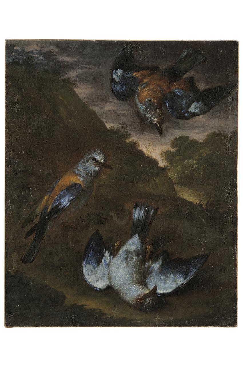 uccelli (dipinto) - ambito italiano (sec. XVIII)