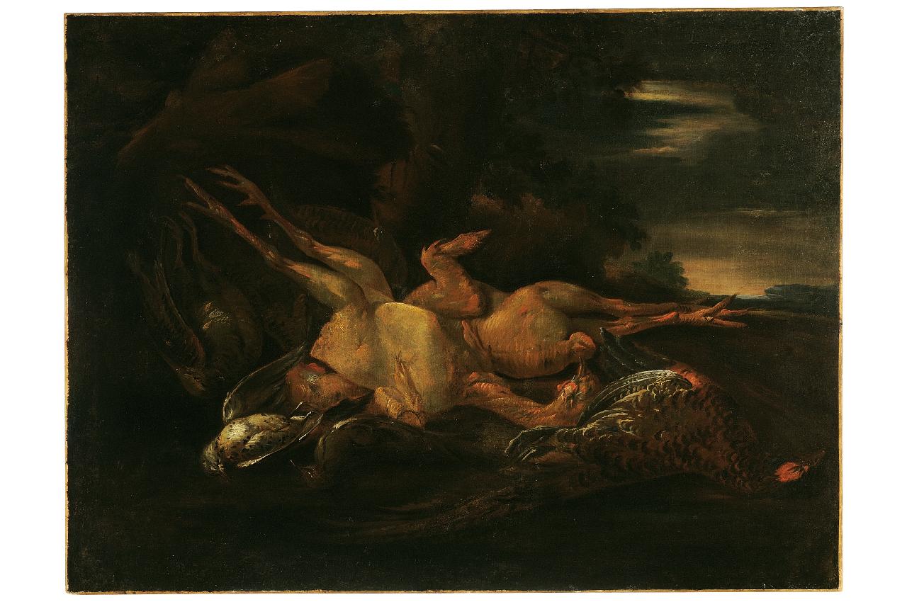 natura morta con volatili (dipinto) - ambito italiano (sec. XVII)