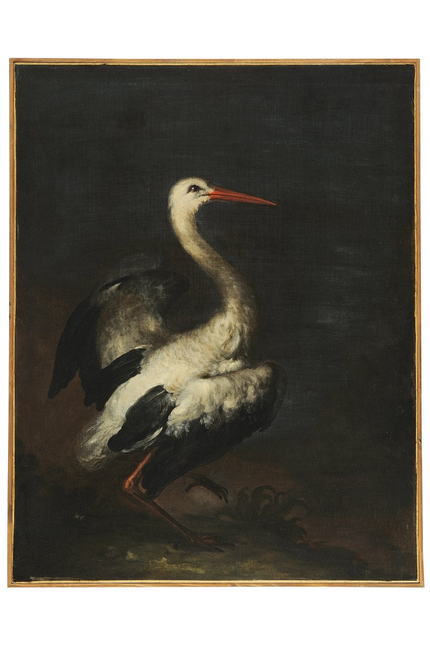 cicogna (dipinto) - ambito toscano (seconda metà sec. XVII)