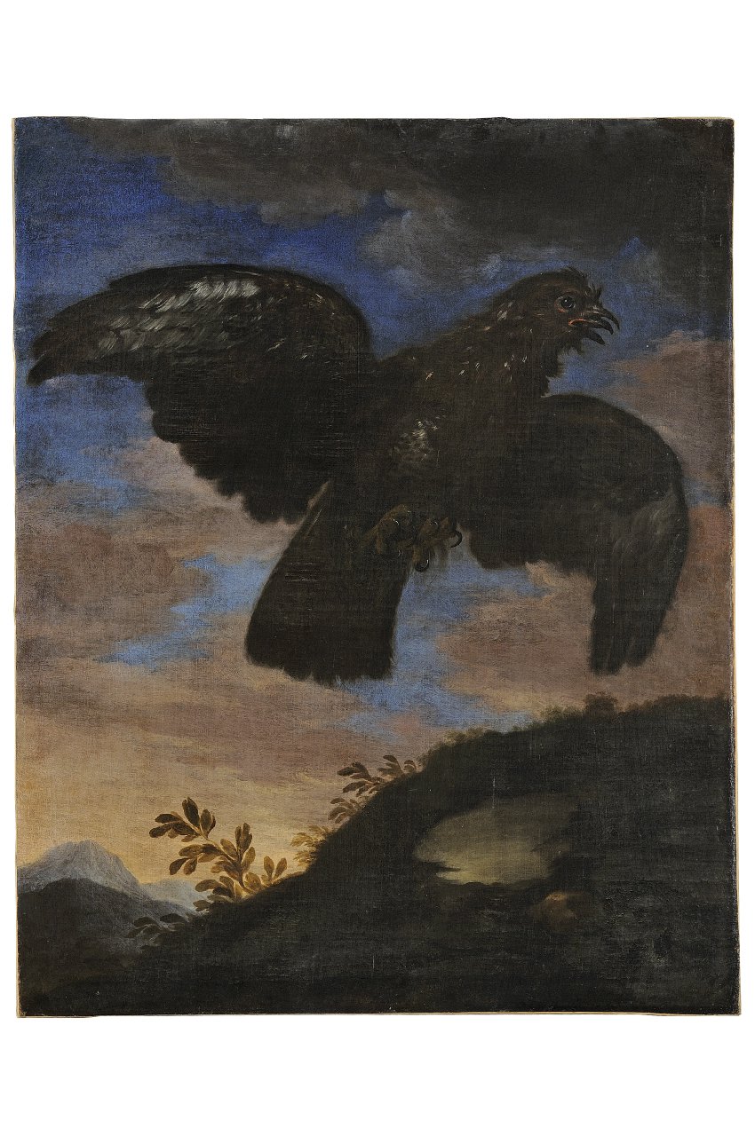 gheppio con due becchi (dipinto) - ambito italiano (sec. XVII)