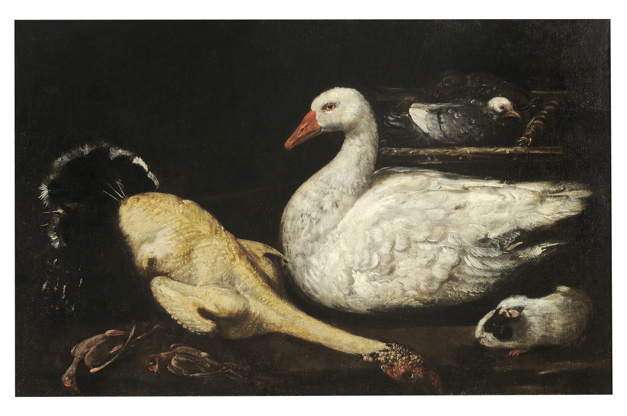 animali da cortile (dipinto) di Boselli Felice (attribuito) (sec. XVII)