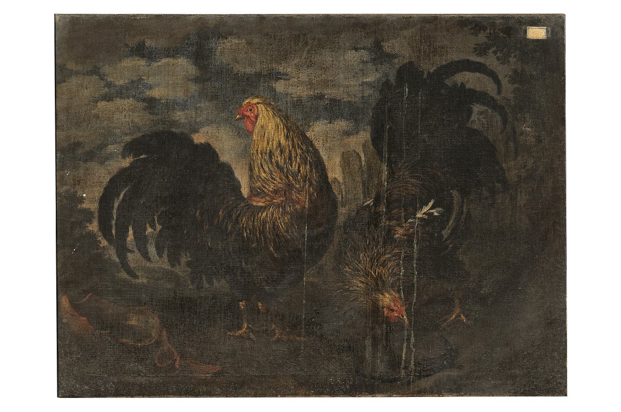 animali (dipinto) di Bimbi Bartolomeo (sec. XVIII)