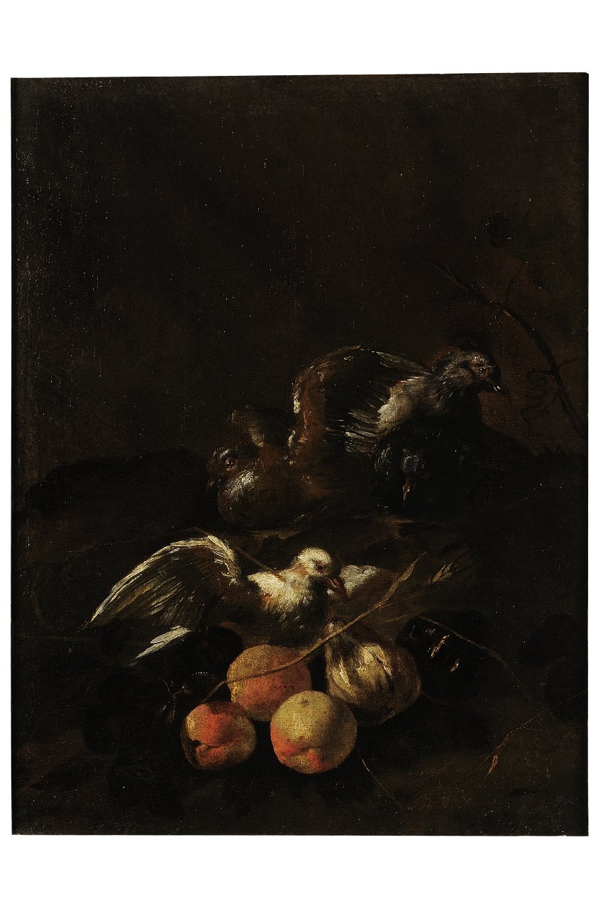 uccelli e frutta (dipinto) - scuola fiorentina (sec. XVII)