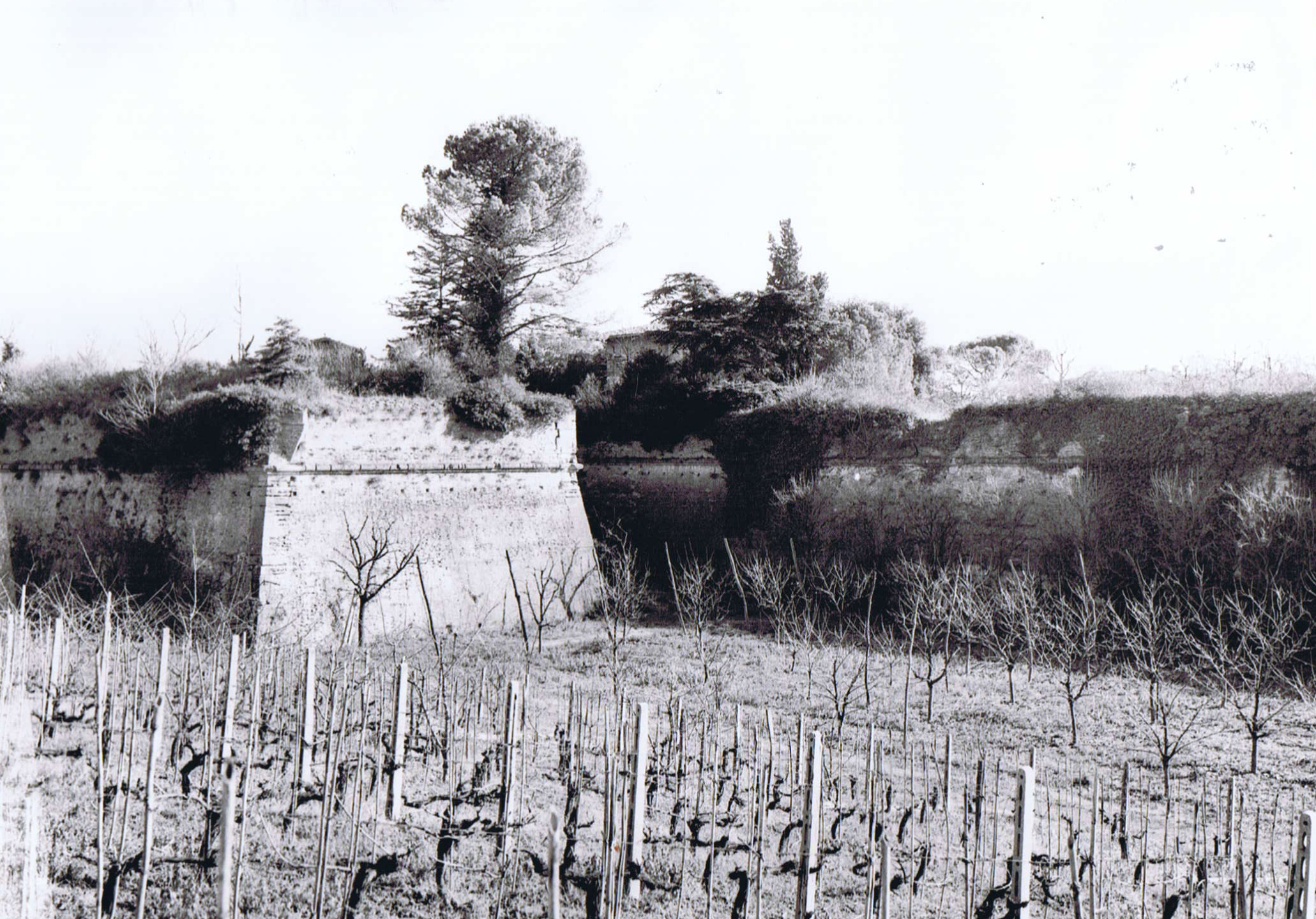 Mura di Terra del Sole (mura, castellane) - Castrocaro Terme e Terra del Sole (FC)  (XVI, metà)