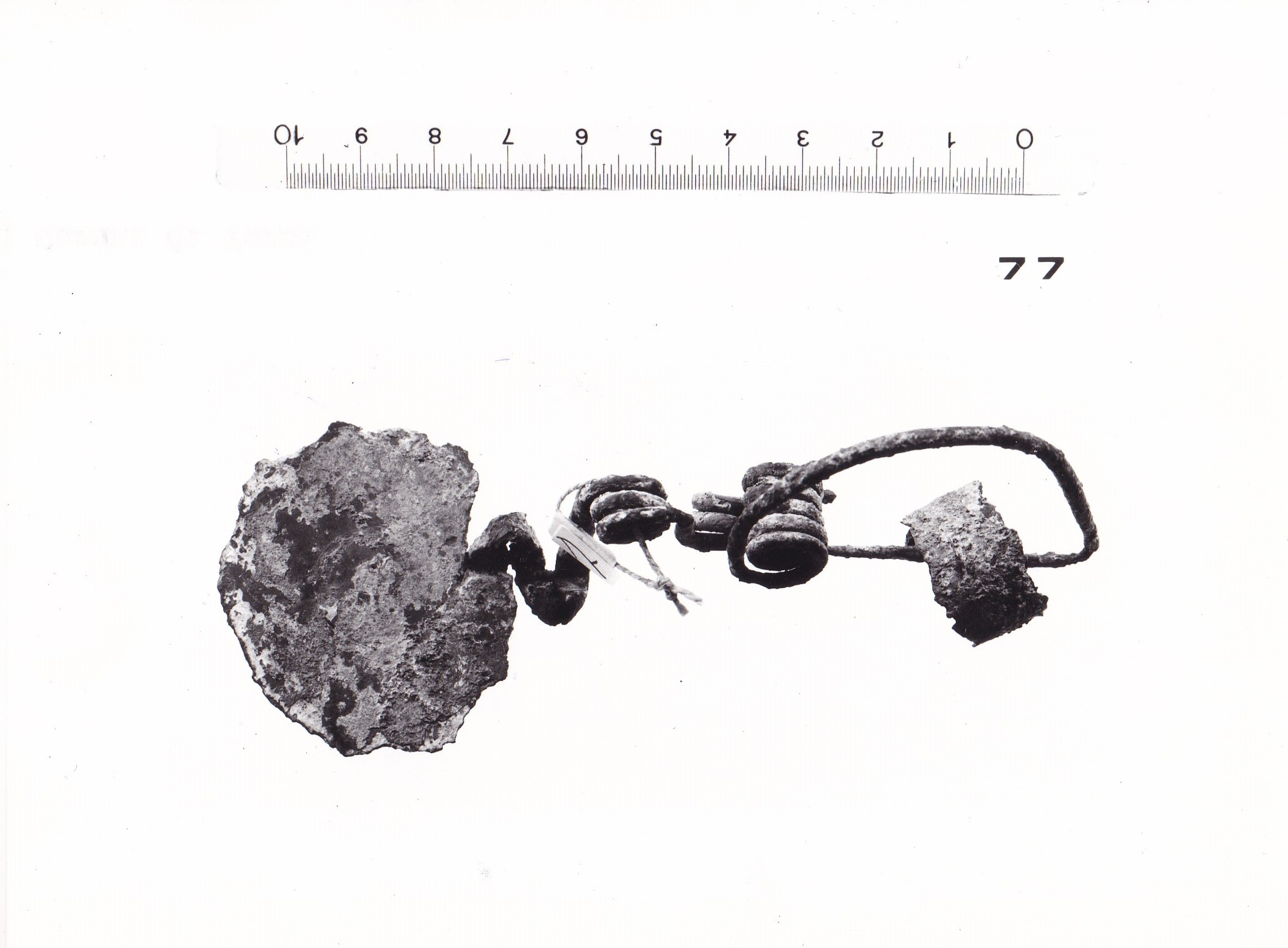 fibula ad arco serpeggiante e staffa a disco - FASE TERNI II (inizio Età del ferro I)