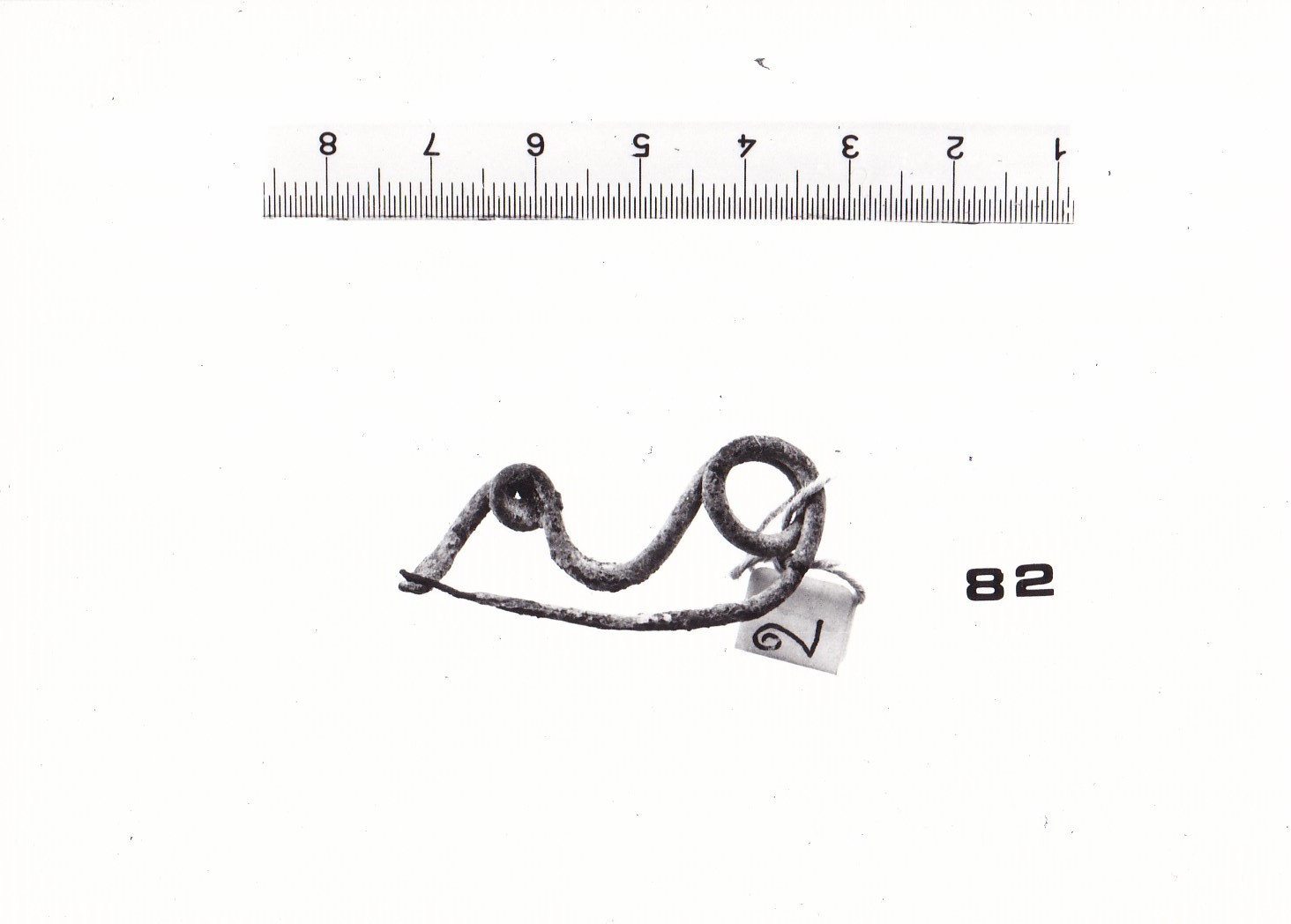 fibula ad arco serpeggiante e staffa a disco - FASE TERNI I (fine Età del Bronzo finale)