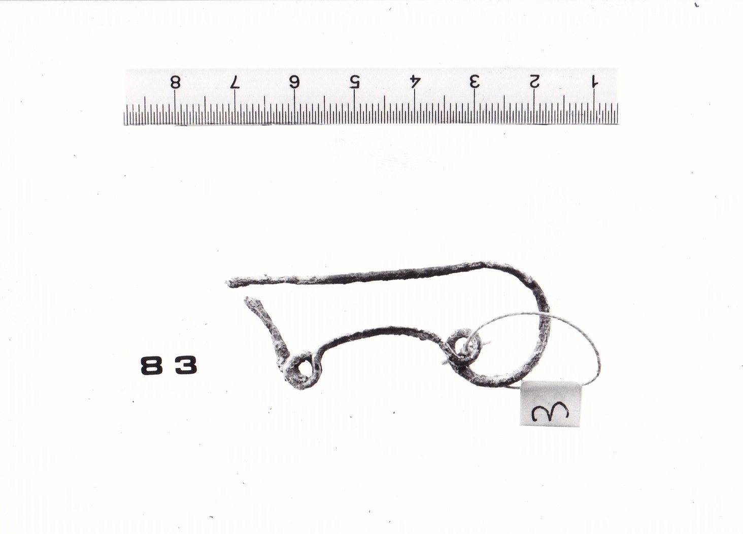 Fibula serpeggiante con tratto appiattito - FASE TERNI I (fine Età del Bronzo finale)