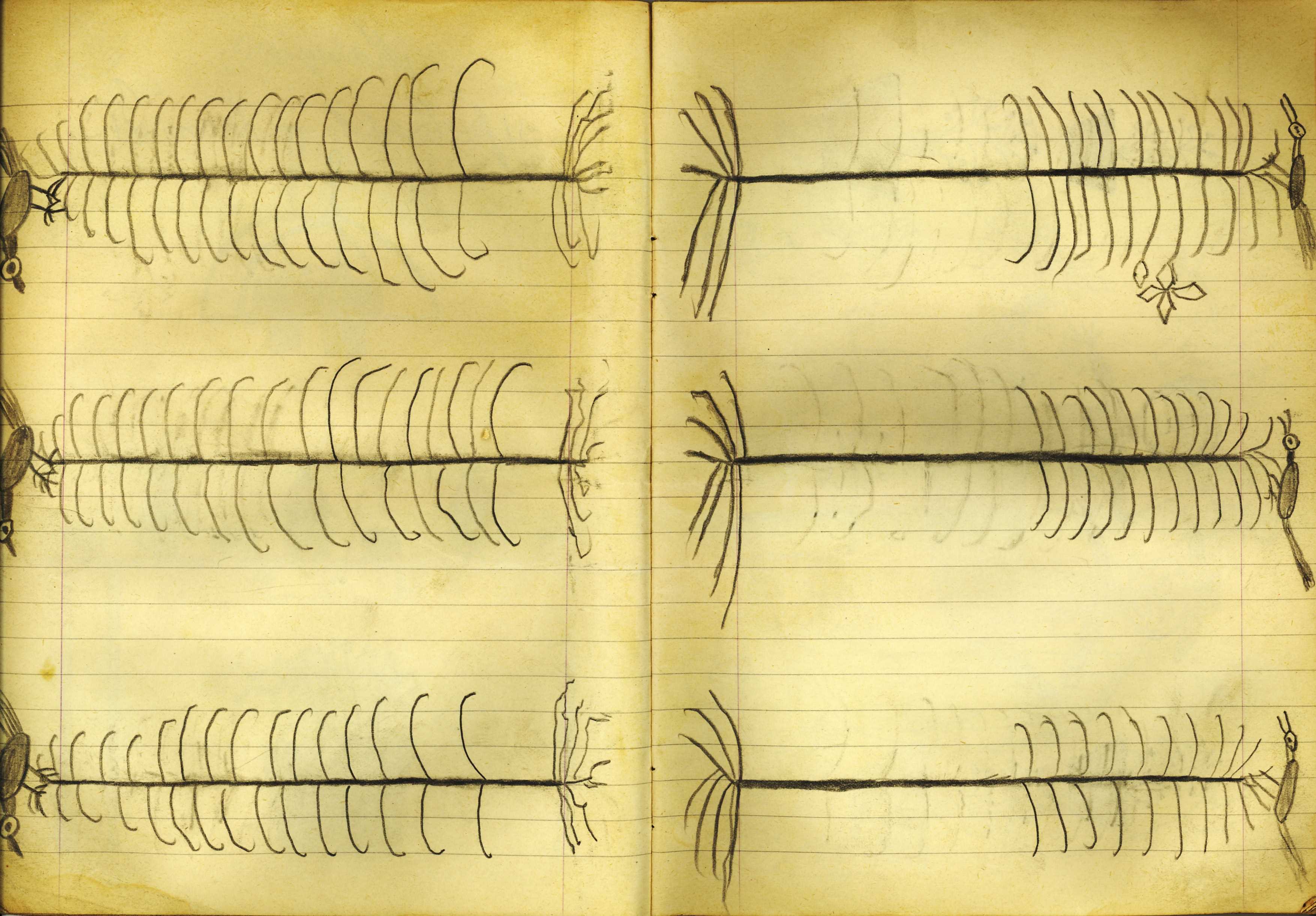 Senza Titolo, Quaderno di disegni (1) (taccuino di disegni, insieme) di Sopetti, Luigi - ambito manicomiale (inizio XX secolo)