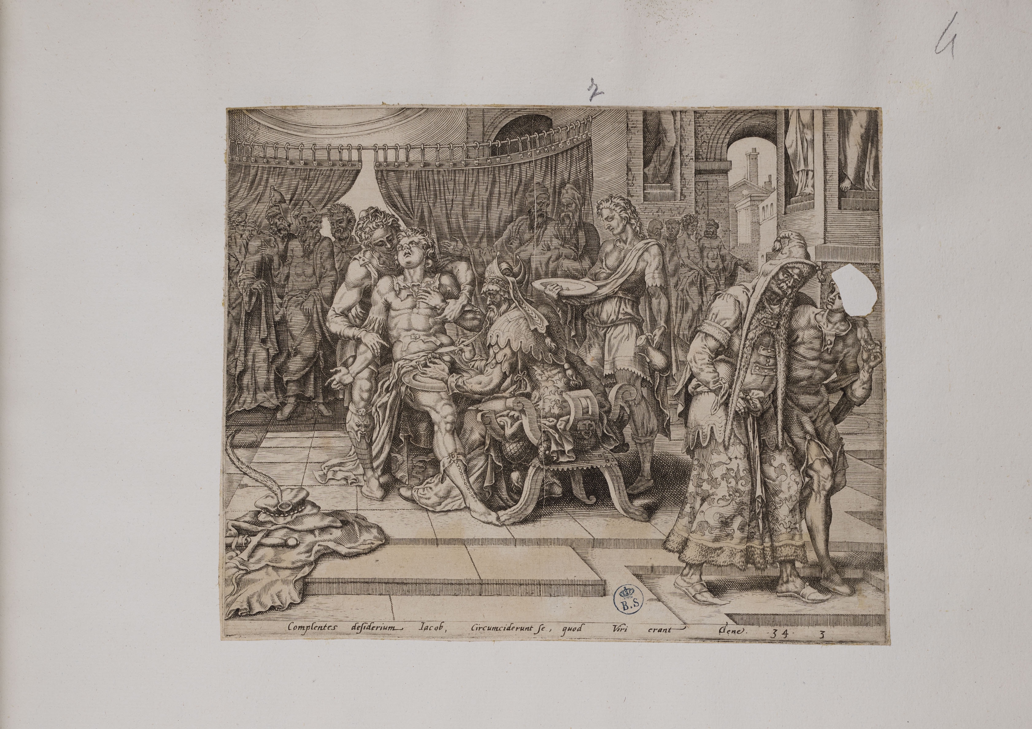 La Circoncisione di Sichem (stampa controfondata smarginata, serie) di Heemskerck Marten van (attribuito), Muller Harmen (attribuito) (seconda metà XVI)