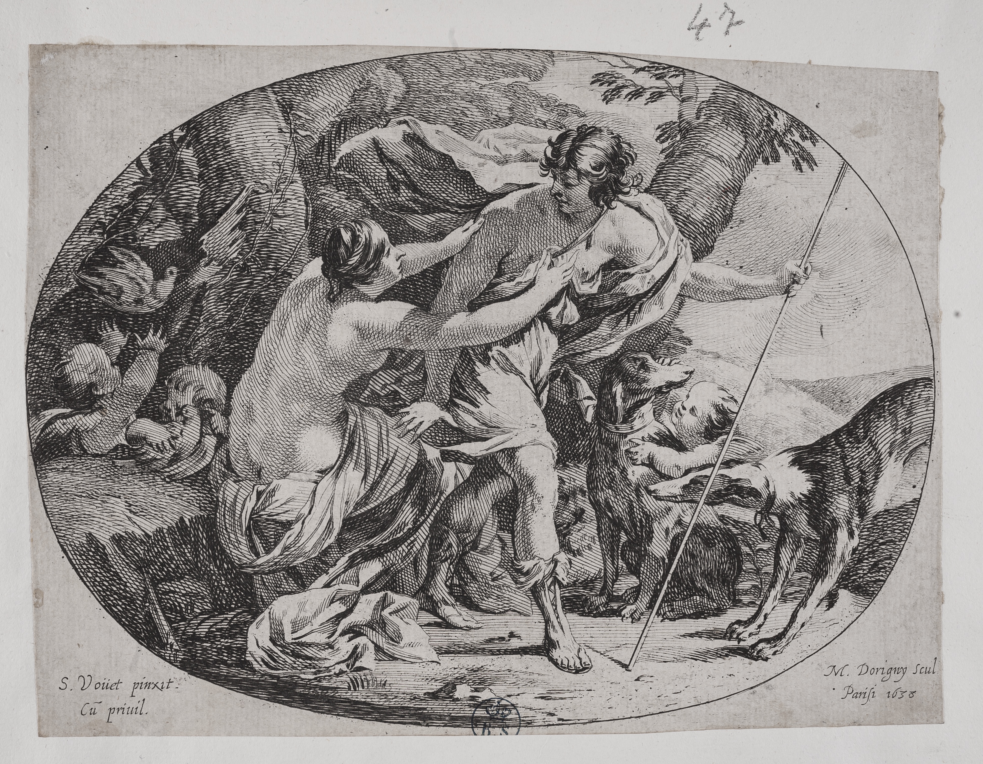 Venere e Adone, Venere e Adone (stampa controfondata smarginata) di Simon Vouet, Dorigny Michel (secondo quarto XVII)