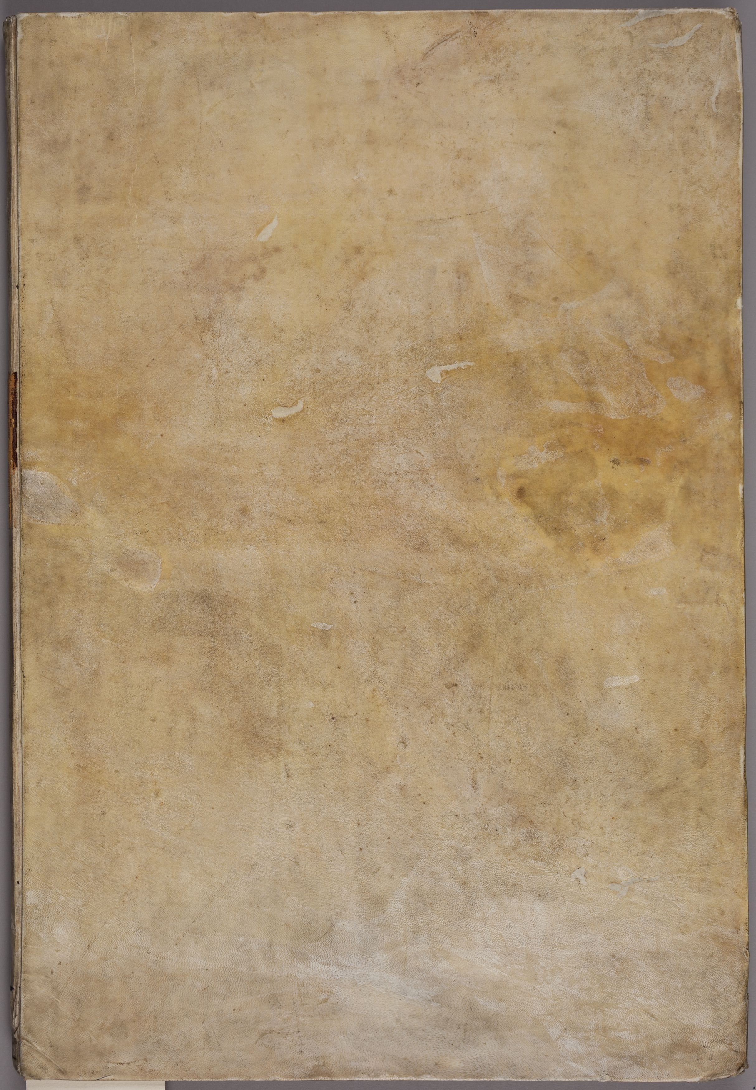 Scuola bolognese Reni Guido, Album Scuola bolognese Reni Guido (legatura - archivistica, opera isolata) - ambito piemontese (seconda metà XIX)