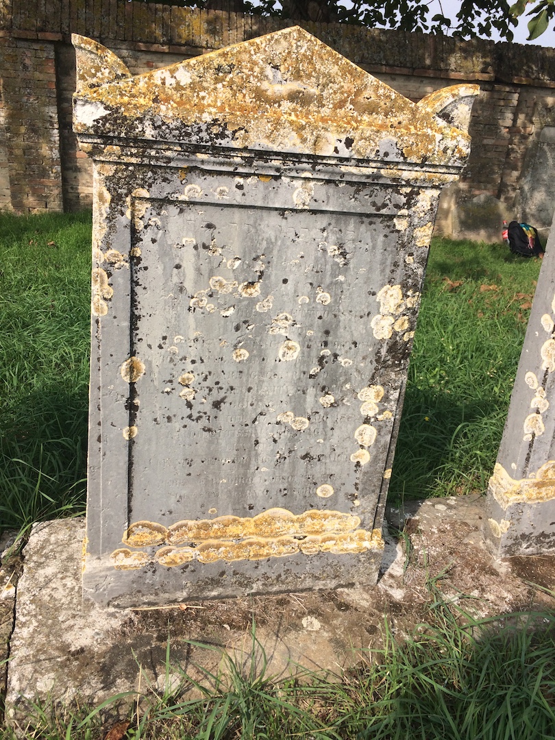 stele funeraria - ambito ebraico (terzo quarto XIX)