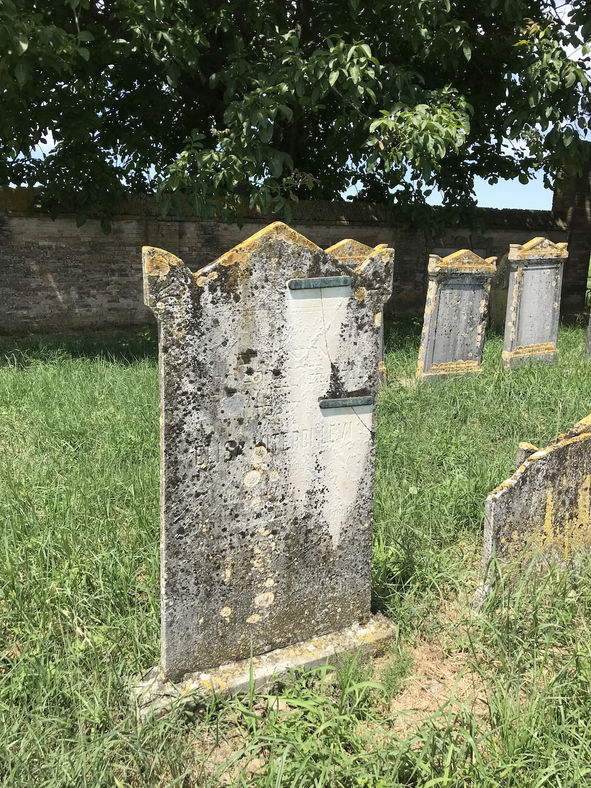 stele funeraria - ambito ebraico (terzo quarto XIX)