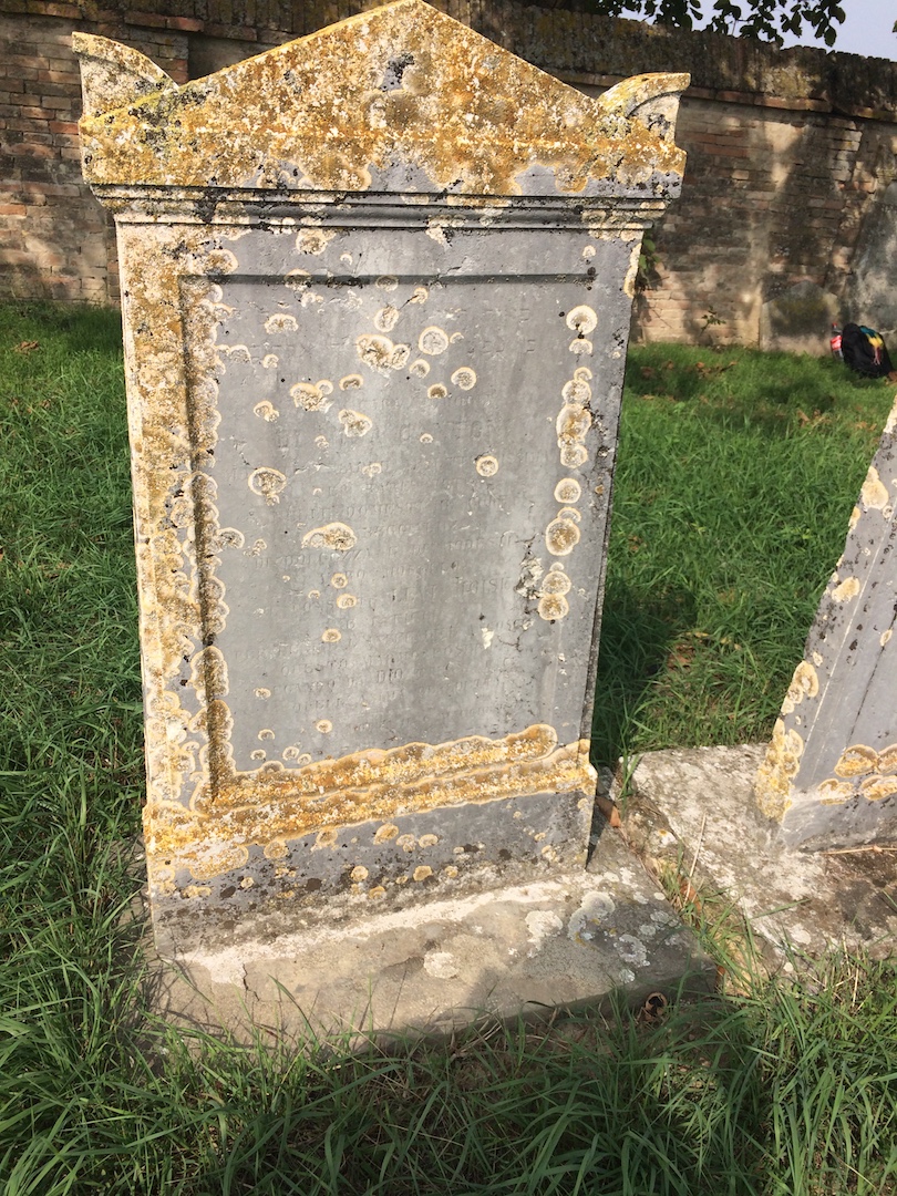 stele funeraria - ambito ebraico (terzo quarto XIX)