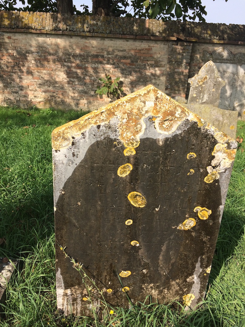 stele funeraria - ambito ebraico (terzo quarto XIX)