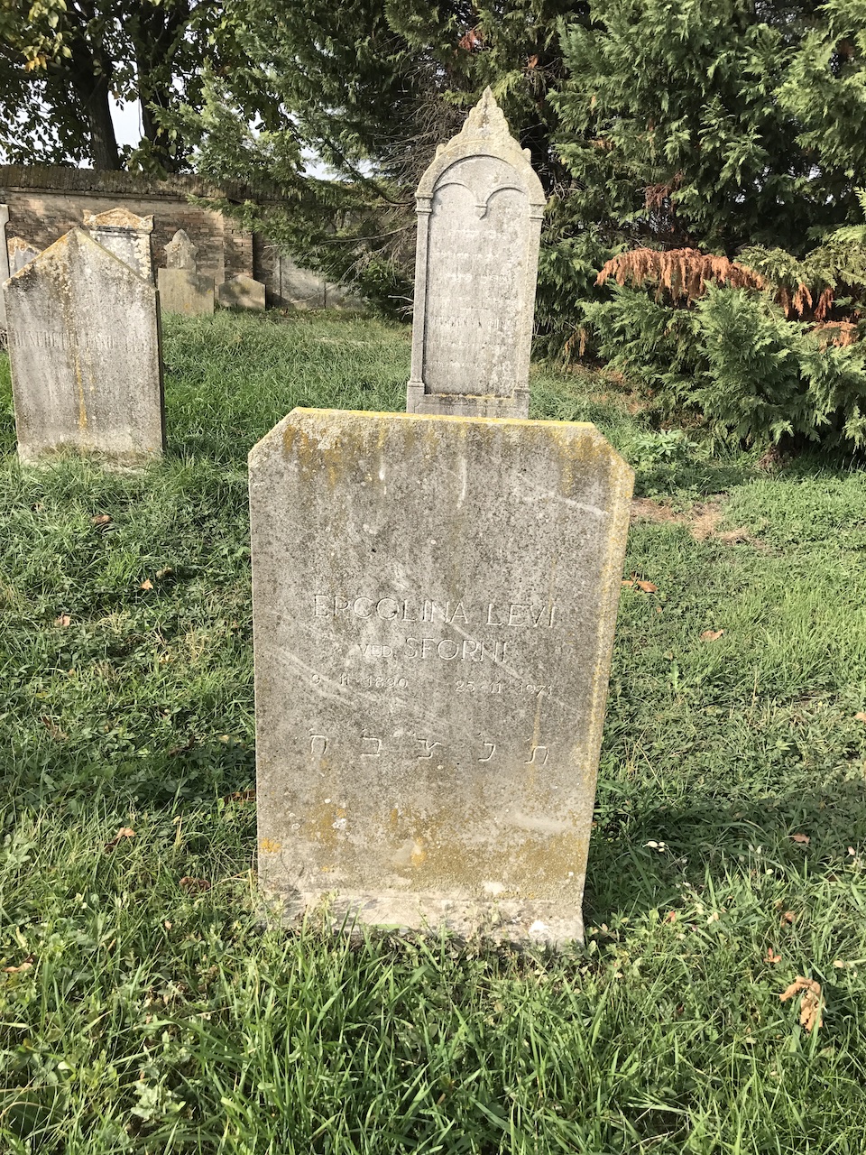 stele funeraria - ambito ebraico (terzo quarto XX)