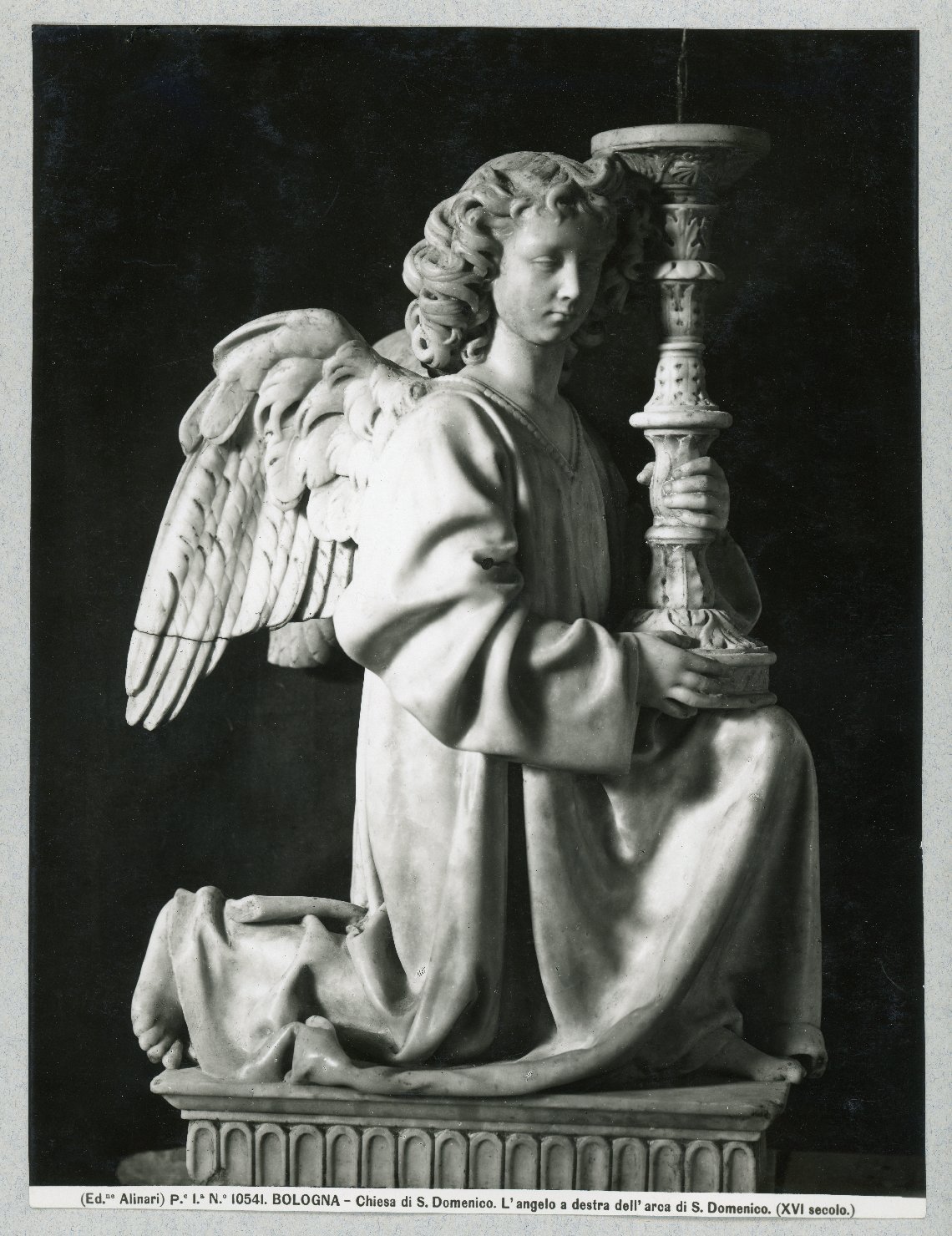 Scultori <Italia, sec. XV> - Niccolò dell'Arca (positivo) di Fratelli Alinari (ditta) (XX)