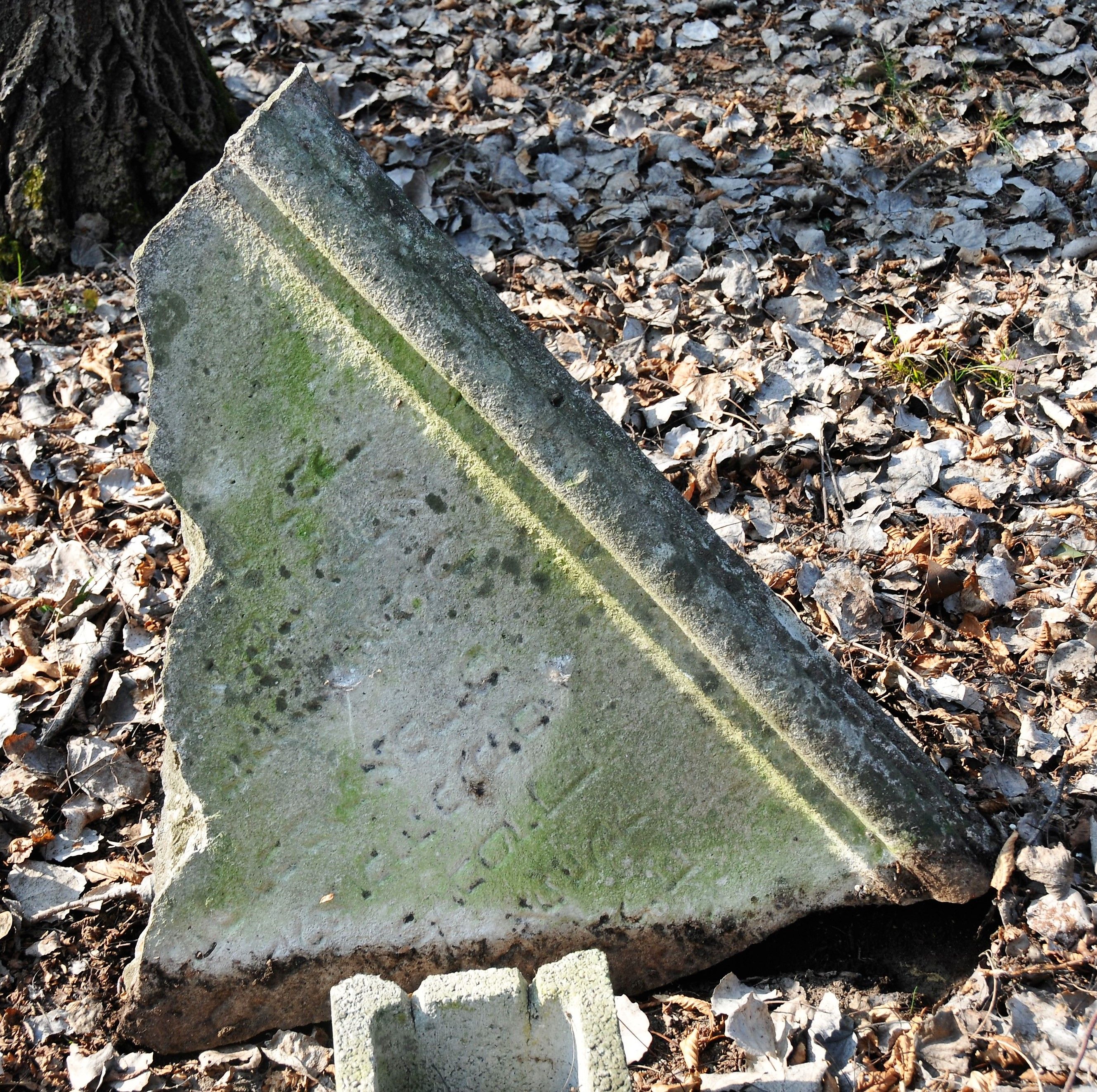 stele funeraria - ambito ebraico (XVIII)