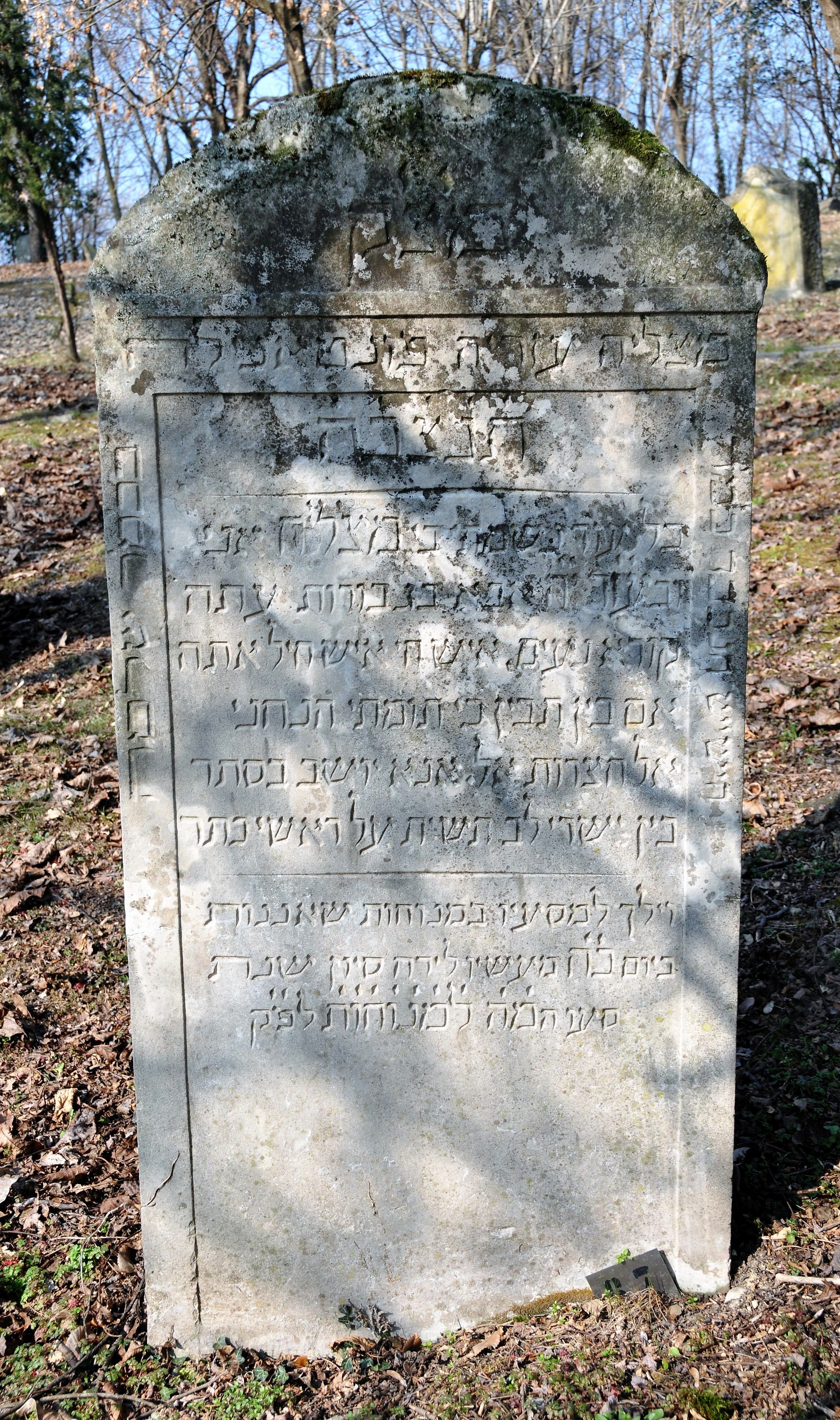 stele funeraria - ambito ebraico (XIX)