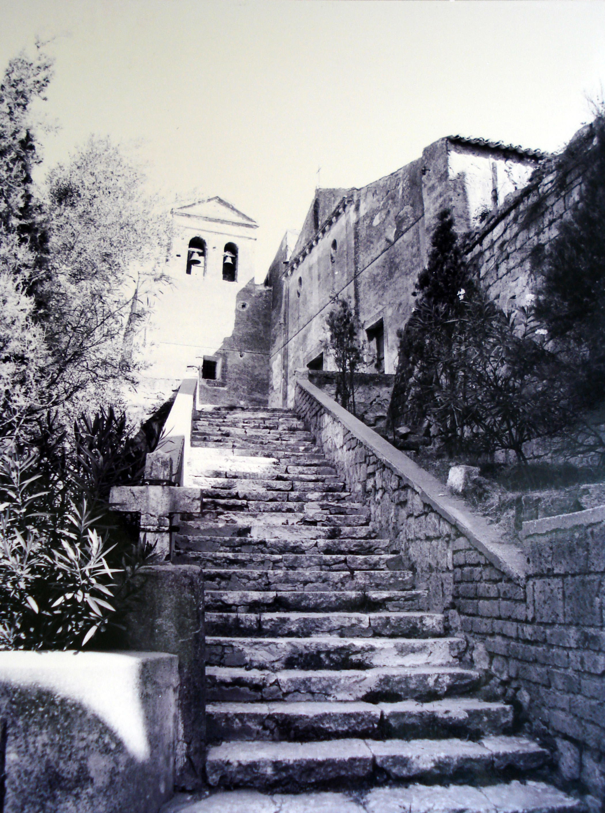 Chiesa di San Rufo Martire (chiesa, parrocchiale) - Caserta (CE)  (XII)