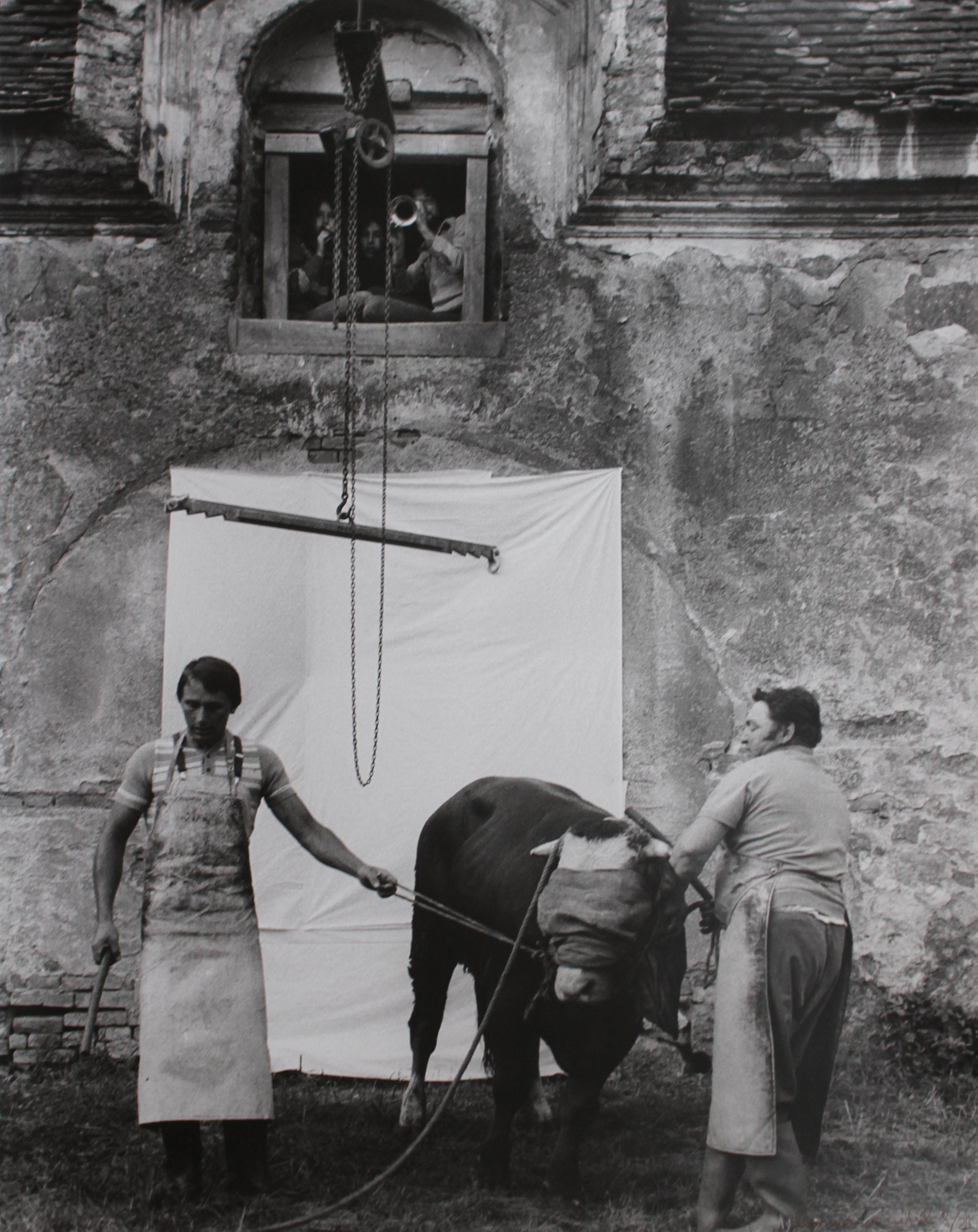 La fotografia ritrae i due soggetti della foto precedente insieme ad un bovino, il quale è stato bendato e portato davanti ad una tela bianca (positivo) di Nitsch, Beate (seconda metà XX)