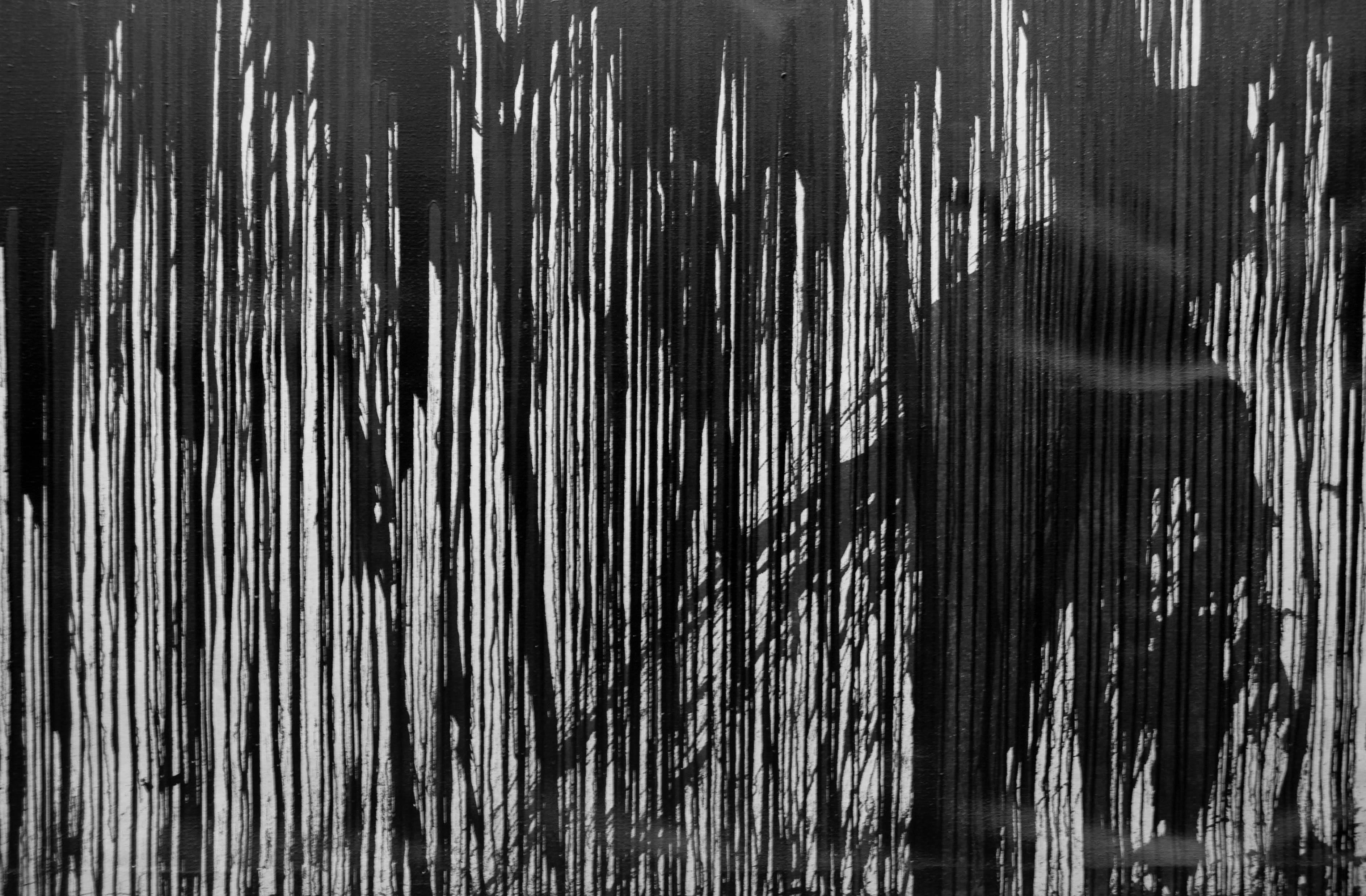 54. Malaktion Napoli 2008 (azione pittorica) di Nitsch, Hermann - Fondazione Morra (sec. XXI)