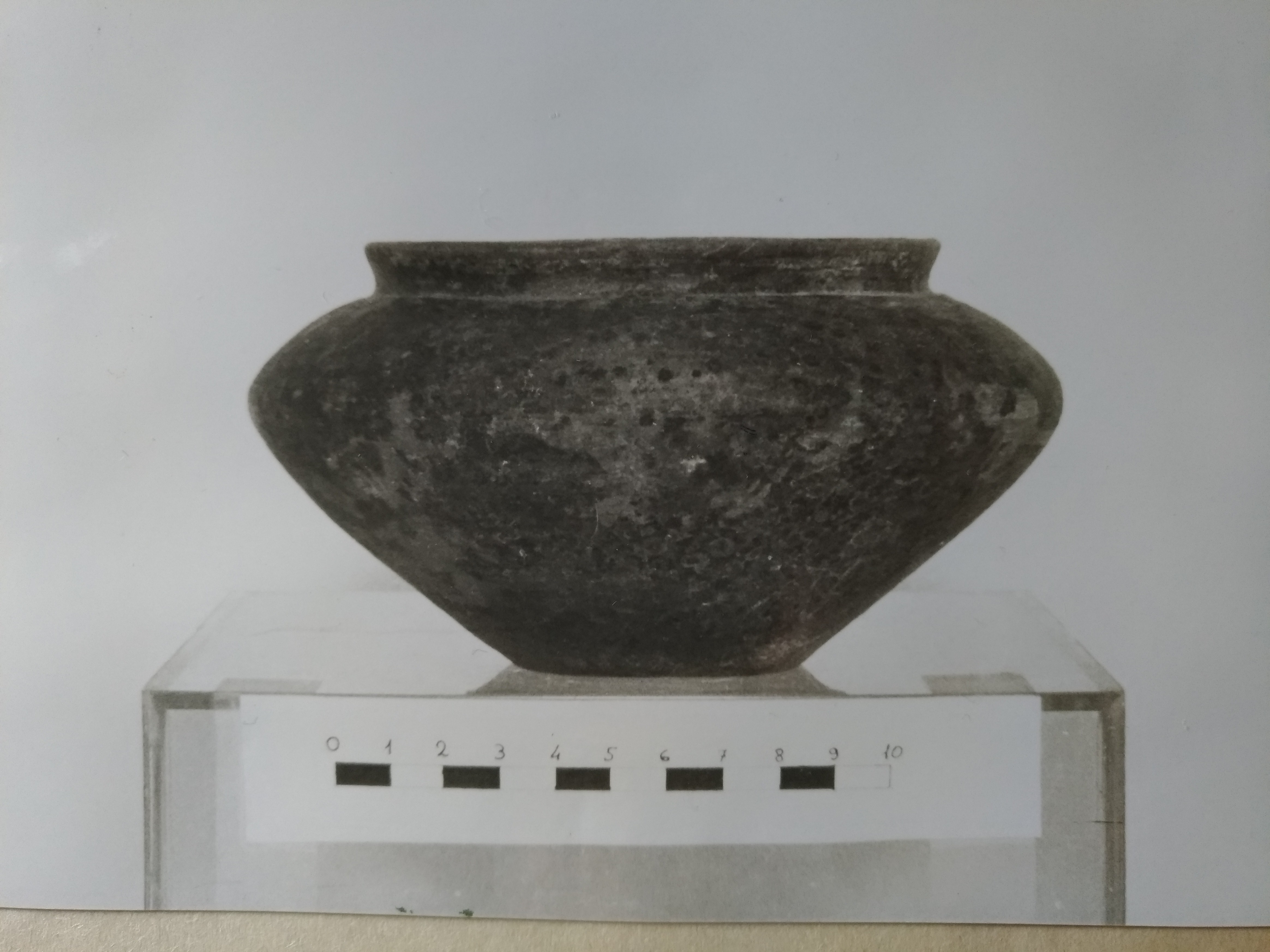 olletta, semilenticolare (metà VIII a.C)