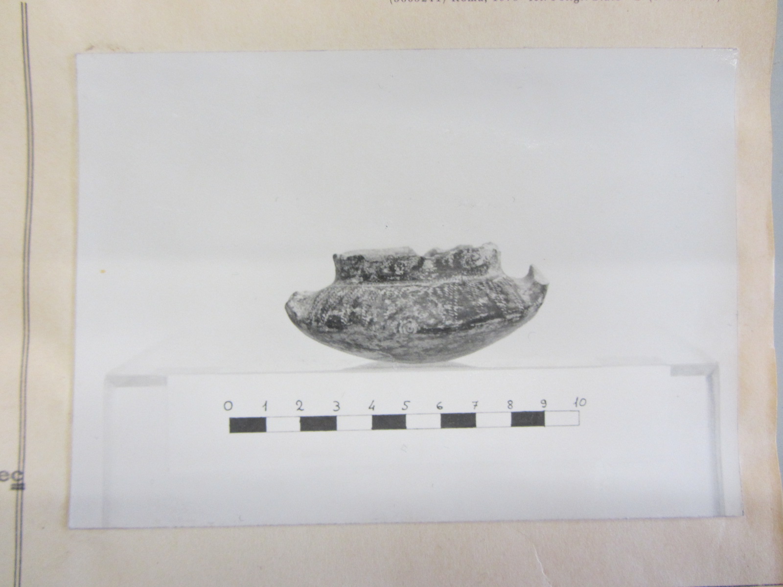 anforetta, lenticolare (metà VIII a.C)