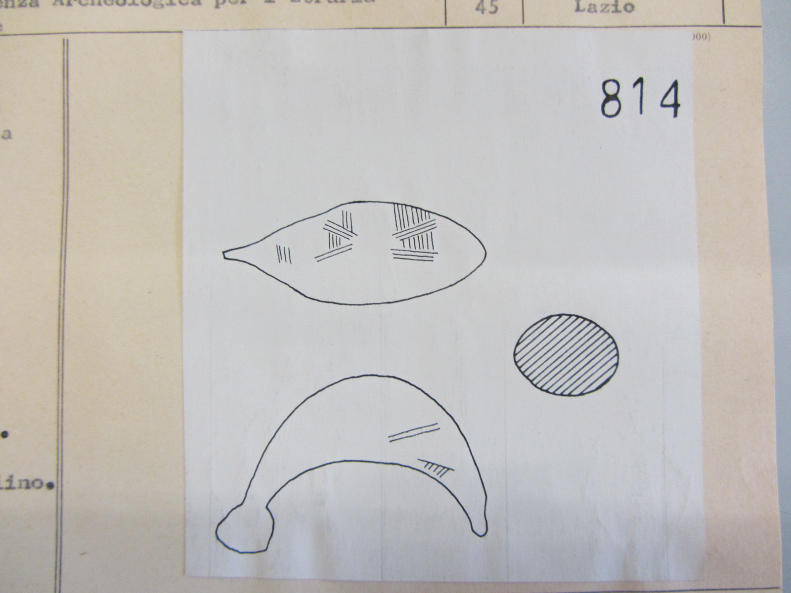 fibula, a sanguisuga (metà VIII a.C)