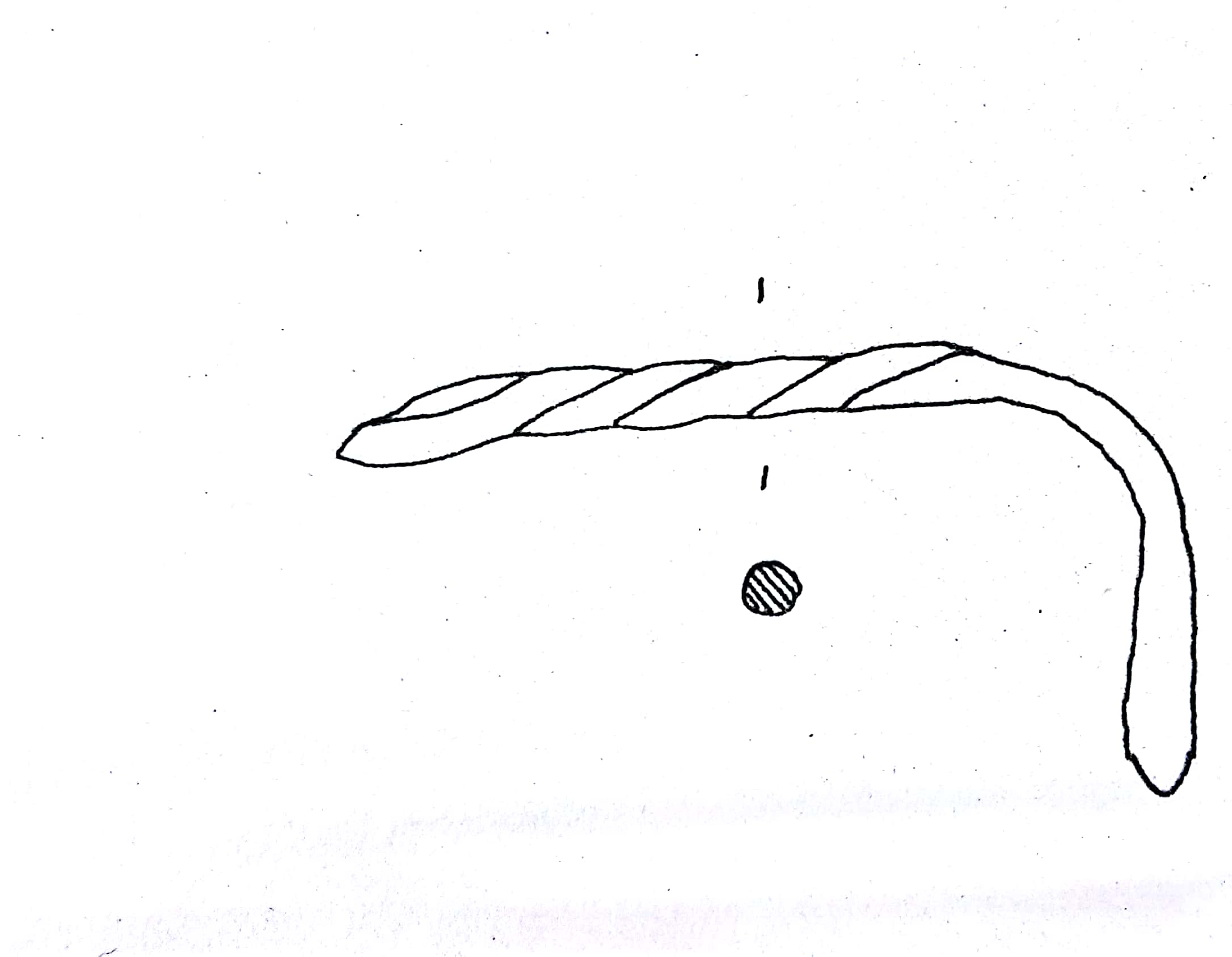 verga, Asticella di bronzo (ultimo quarto VIII sec. a. C)