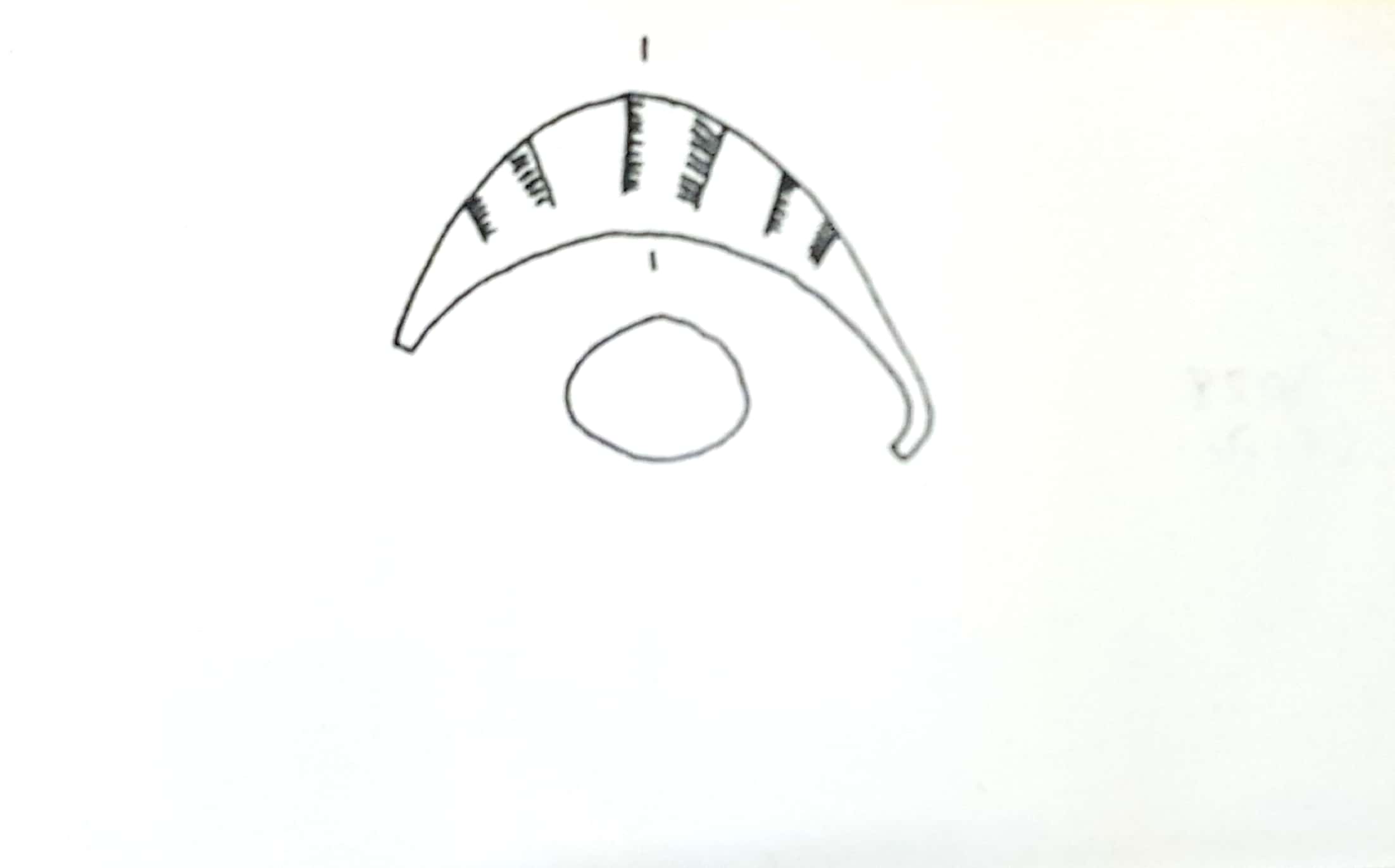 fibula a sanguisuga, Fibula a sanguisuga con arco pieno (ultimo quarto VIII sec. a. C)