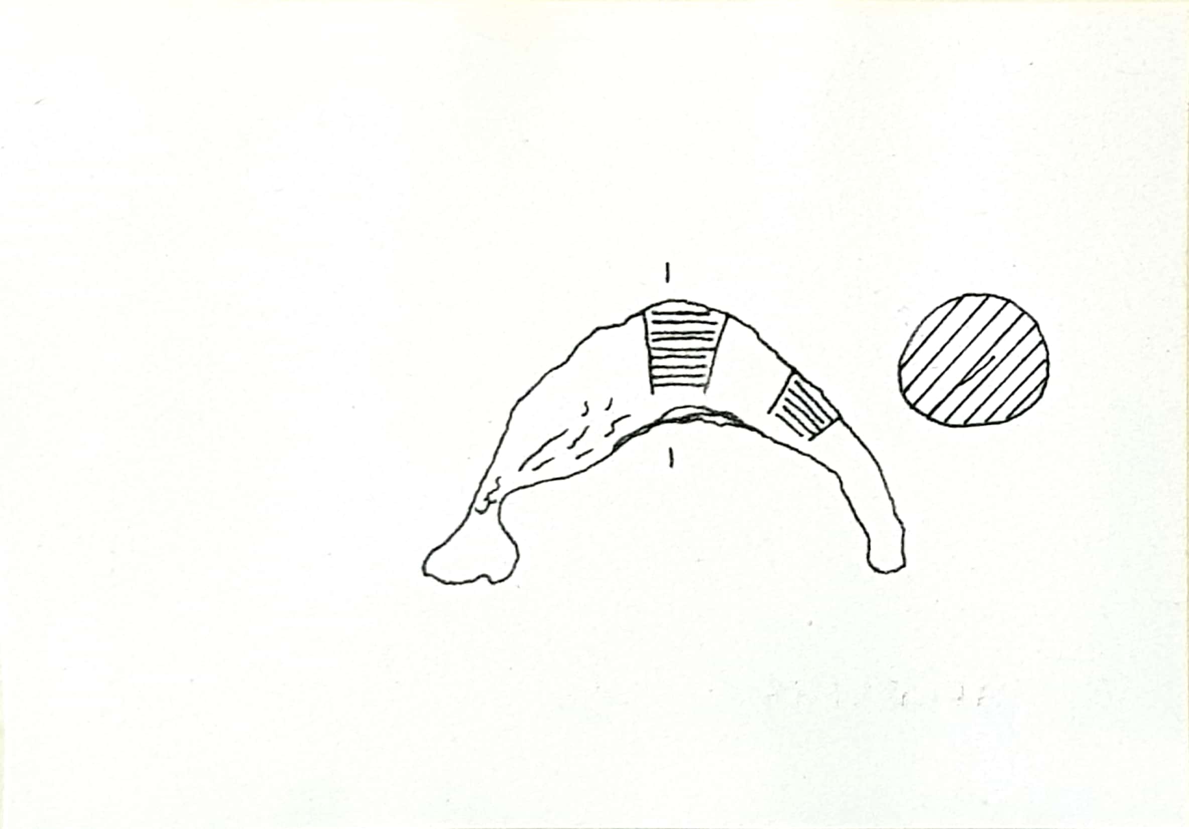 fibula a sanguisuga (ultimo quarto VIII sec. a. C)