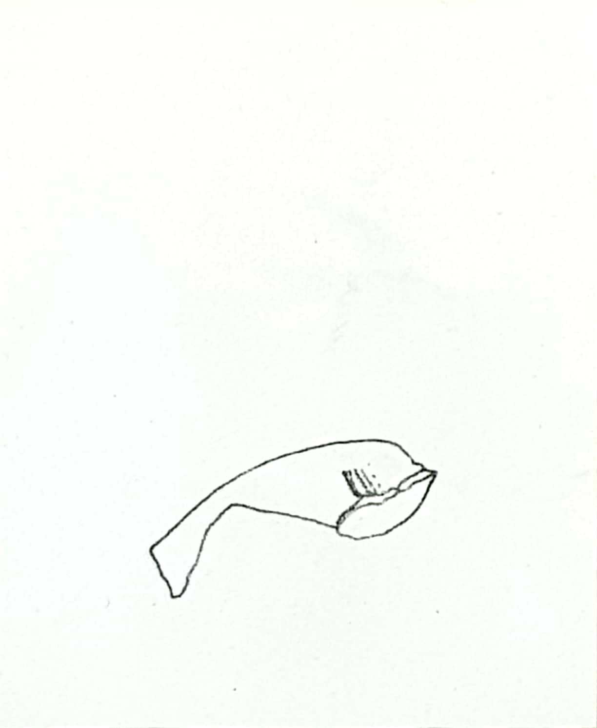 fibula a sanguisuga (ultimo quarto VIII sec. a. C)