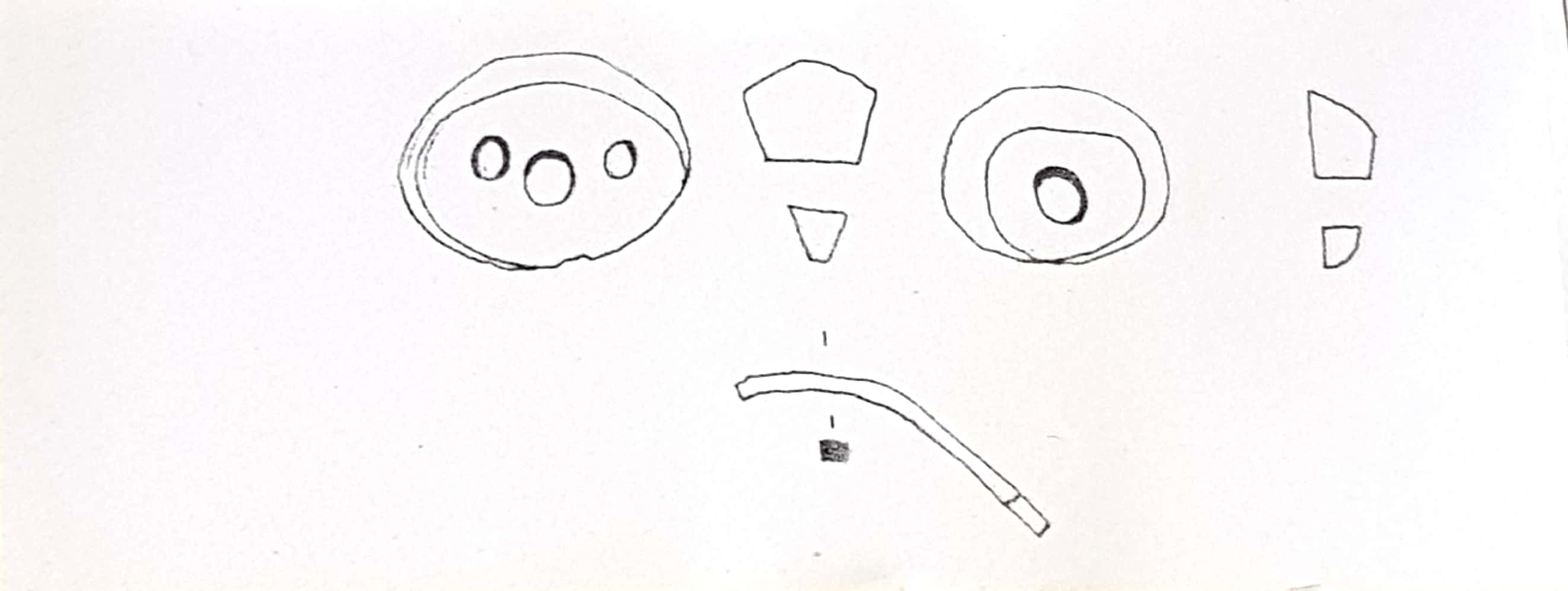 fibula/ ad arco rivestito (ultimo quarto VIII sec. a. C)