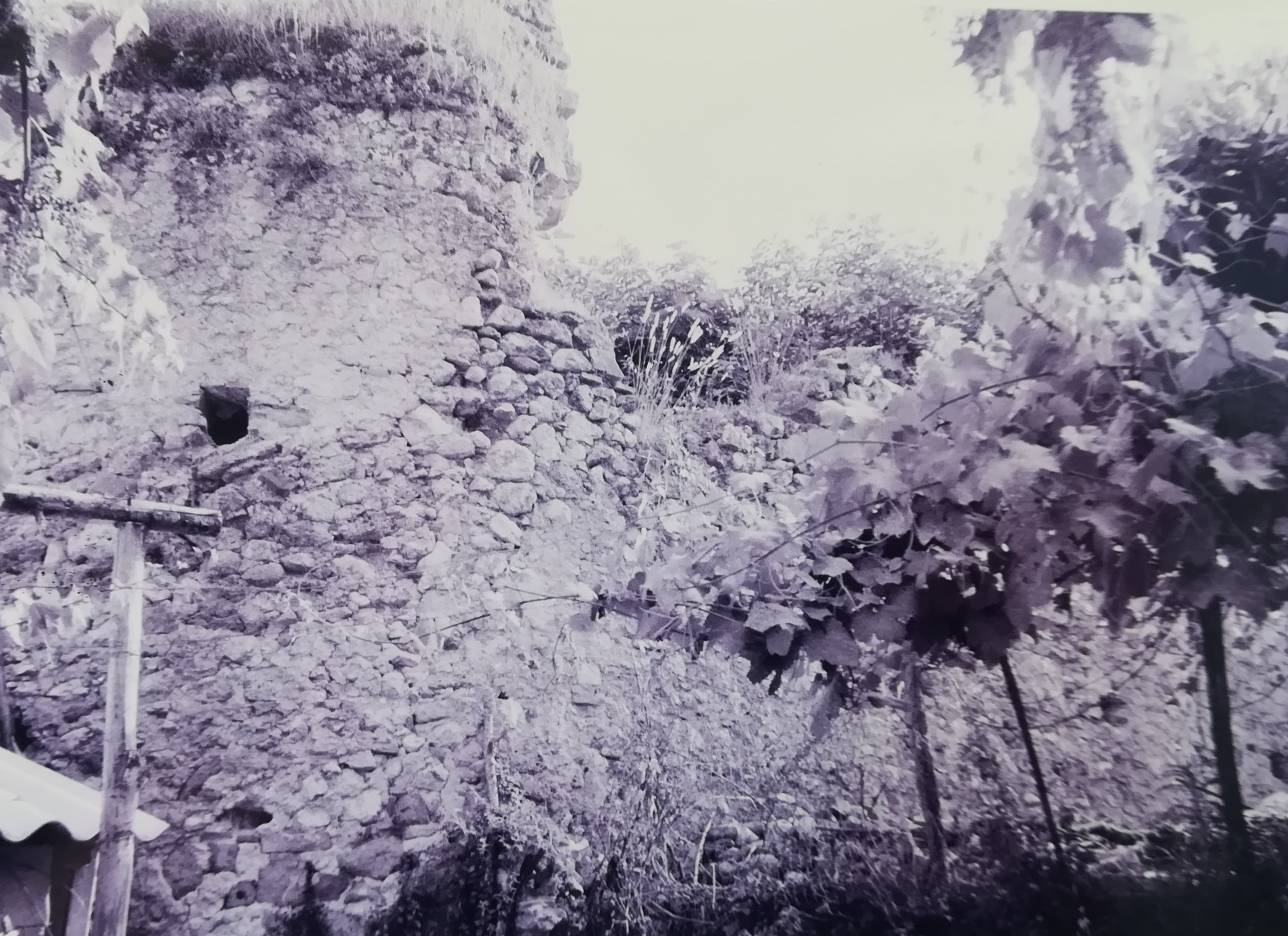 Chiesa S. Maria in Cingla (chiesa, abbaziale) - Ailano (CE)  (XII)