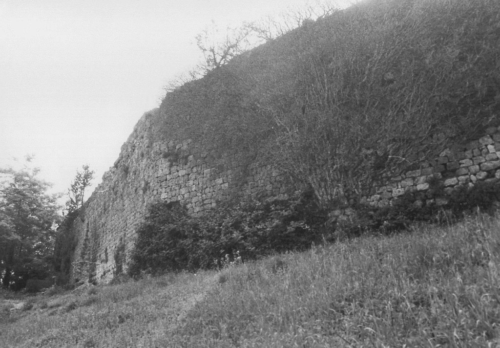 CINTA MURARIA E CASSERO DI CASTEL SAN GIMIGNANO (cinta muraria) - San Gimignano (SI) 