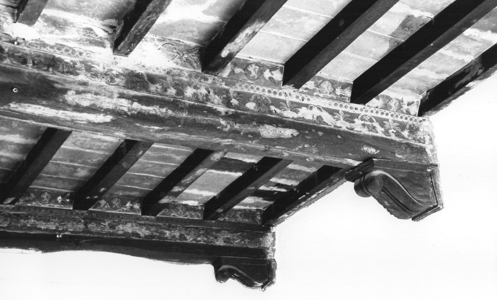 soffitto, opera isolata - bottega toscana (inizio XVI)