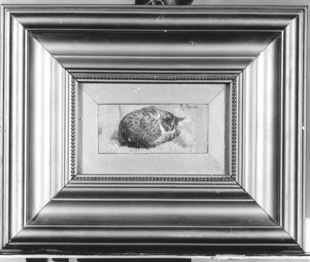 gatto (dipinto, elemento d'insieme) di Sorbi Raffaello (ultimo quarto sec. XIX)