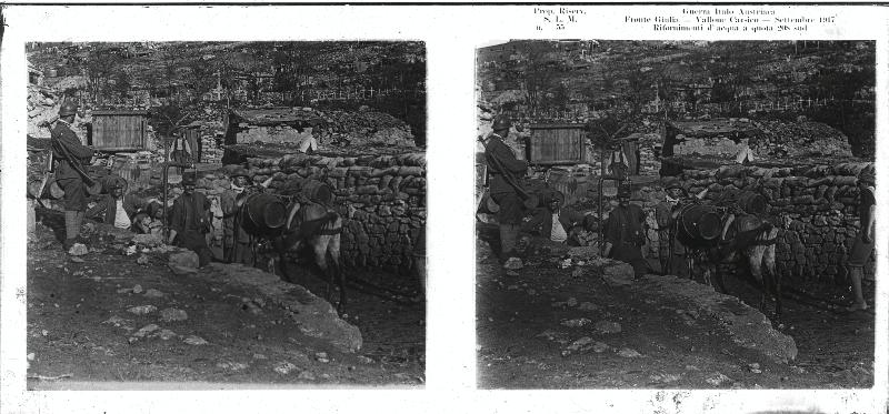 Friuli-Venezia Giulia - Carso - quota 208 sud - animali - muli - botti - acqua - 1917 (positivo) di Marzocchi, Luigi (primo quarto XX)