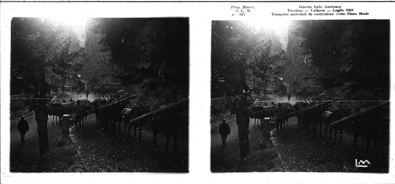 Passo Buole - trasporti - muli - soldati - 1916 (positivo) di Marzocchi, Luigi (primo quarto XX)