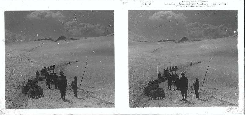 Passo della Lobbia - cani - slitte - 1917 (positivo) di Marzocchi, Luigi (primo quarto XX)