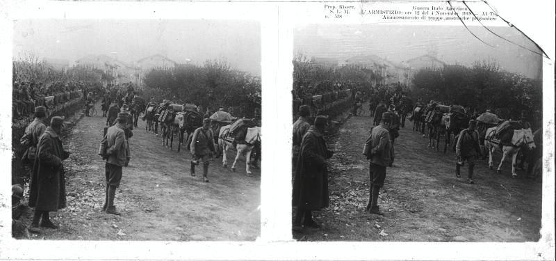 Udine - Tagliamento - soldati - animali - armistizio - 1918 (positivo) di Marzocchi, Luigi (primo quarto XX)